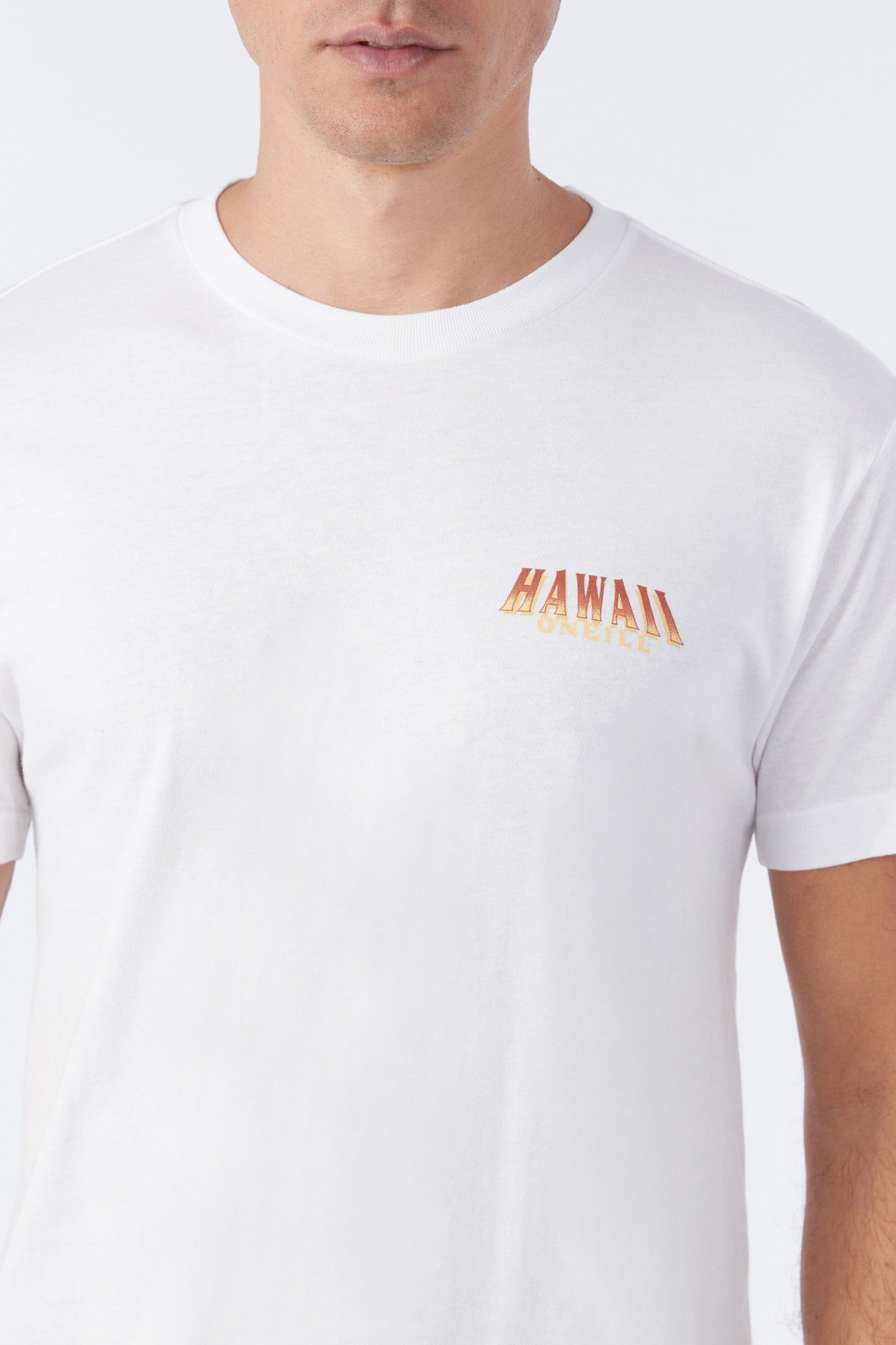 BIG ISLAND TEE sold by O'Neill product image thumbnail 3