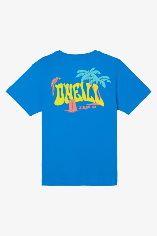 BOY'S LAGGER TEE sold by O'Neill