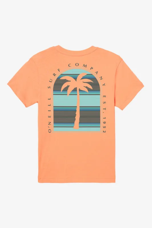 BOY'S HEADSTONE TEE made by O'Neill