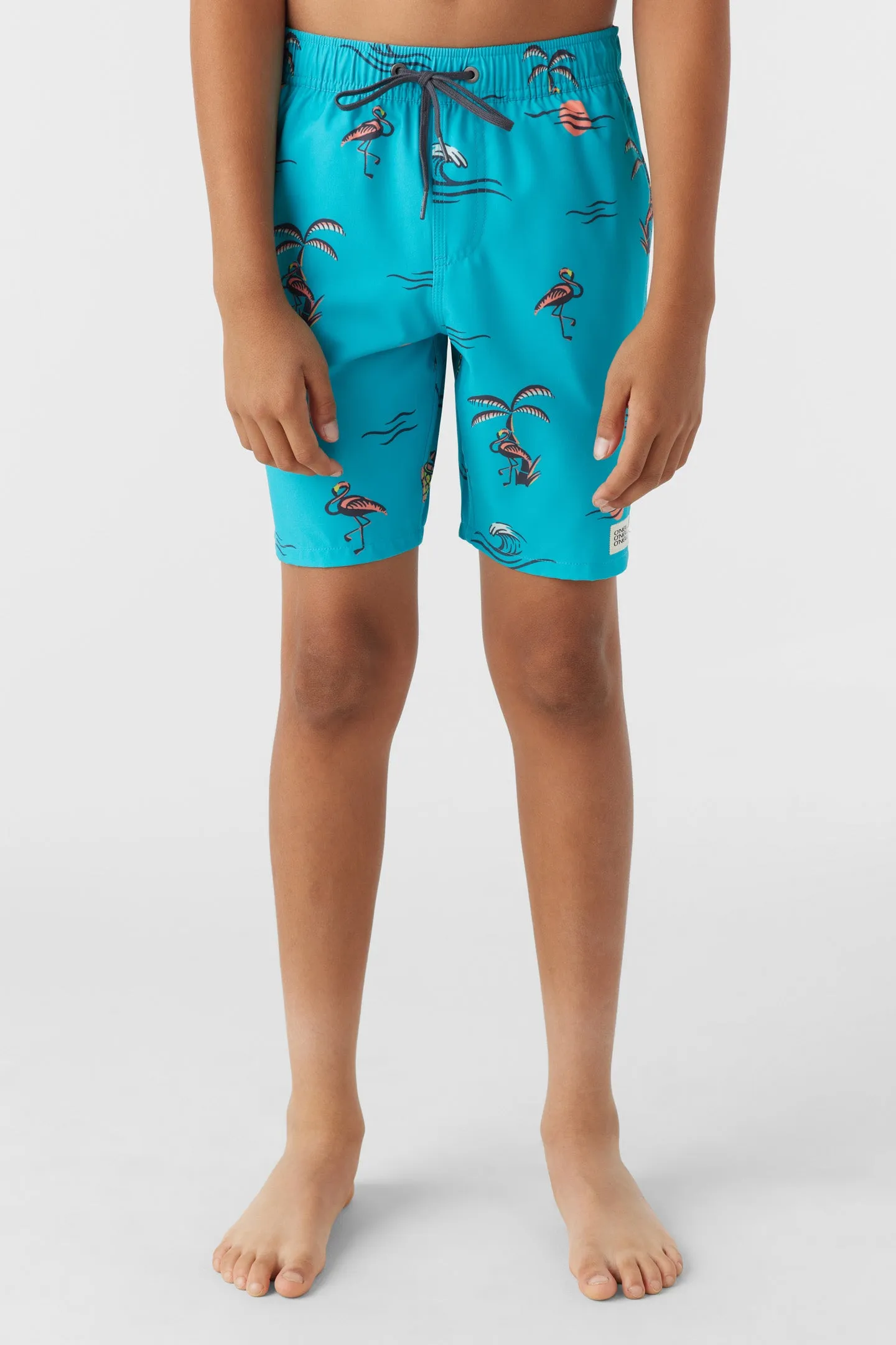 Boy's Hermosa Crew 16" Swim Trunks sold by O'Neill product image thumbnail 2