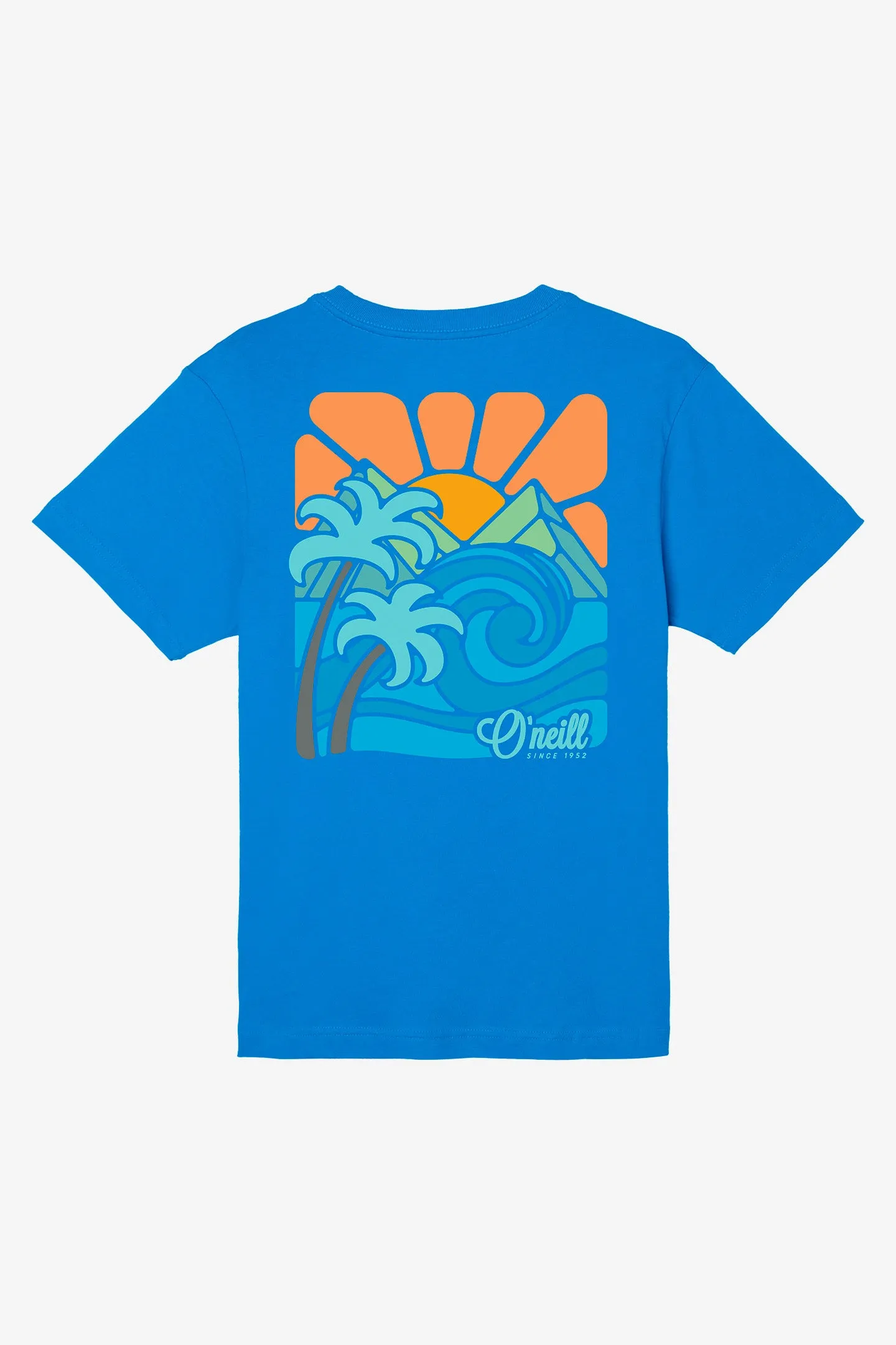 BOY'S PROMISED LAND TEE sold by O'Neill