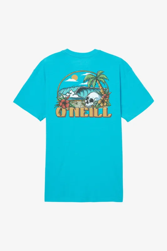 HIDDEN POINT TEE sold by O'Neill