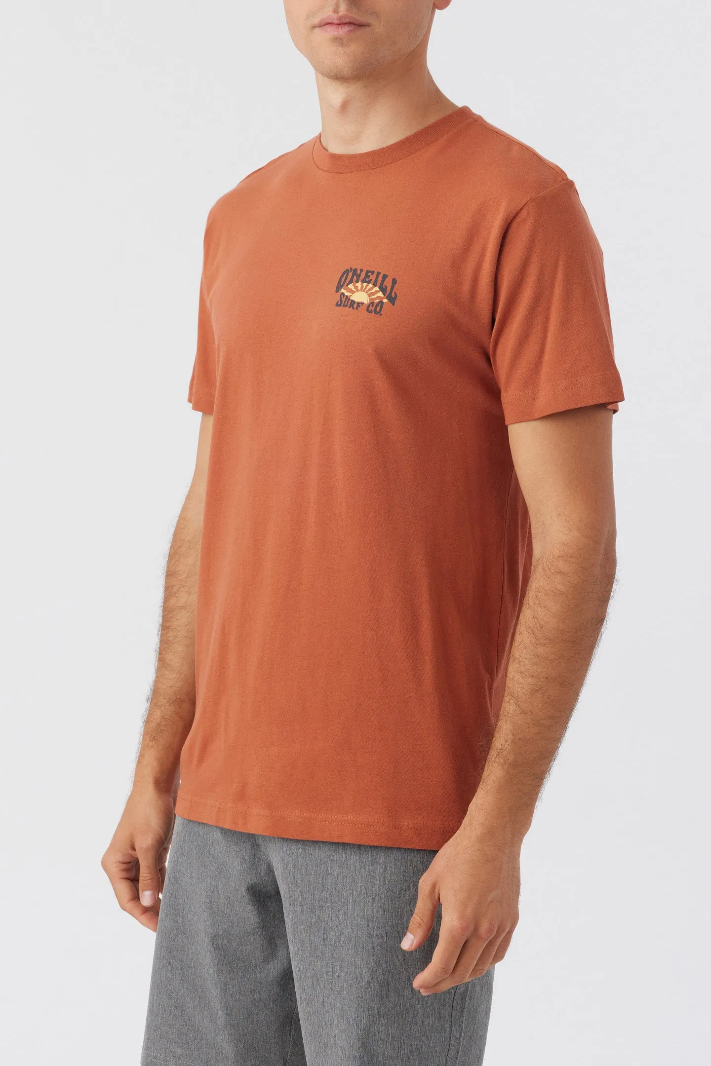 SKIN AND BONES TEE sold by O'Neill product image thumbnail 4