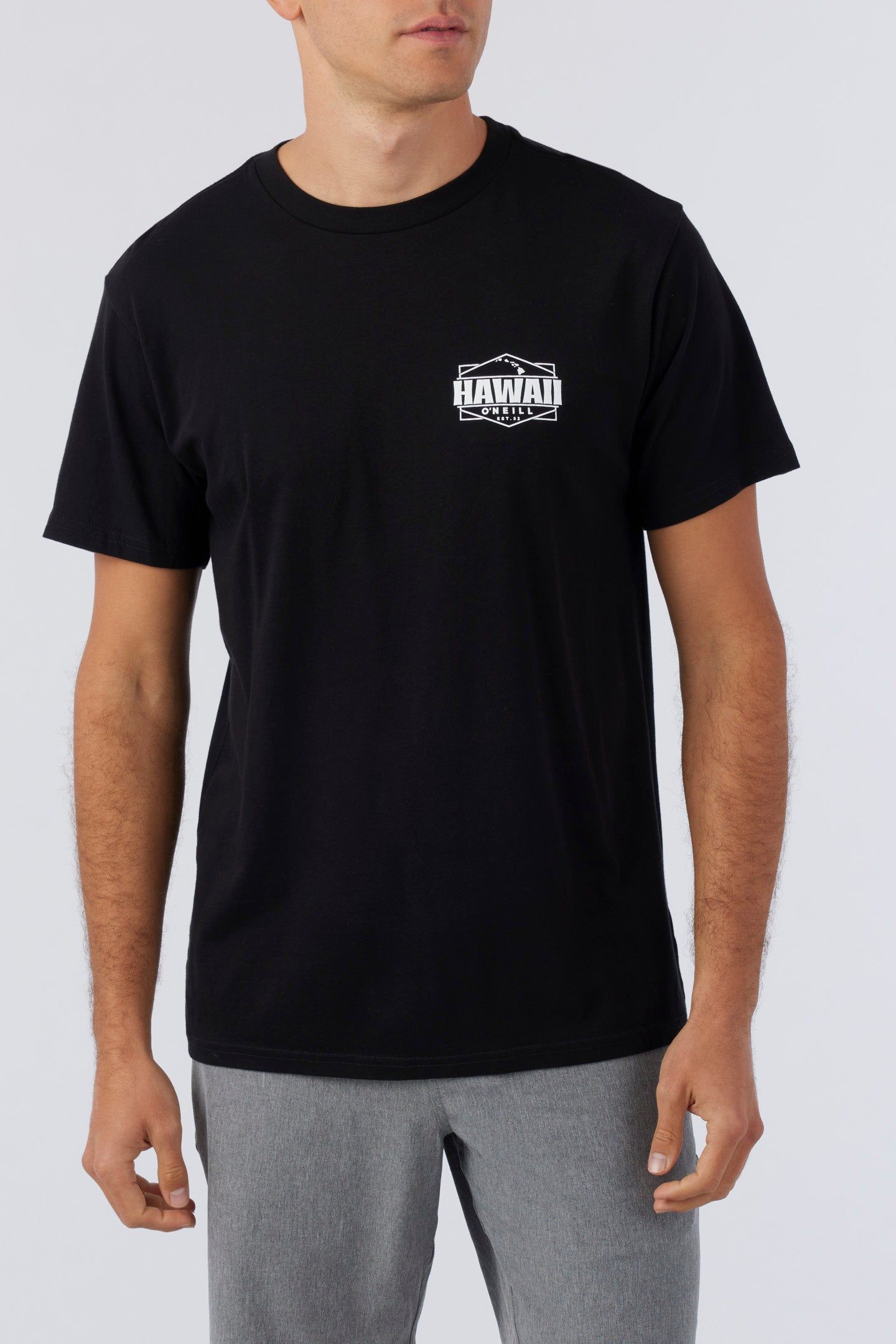 HAWAII FLAG TEE sold by O'Neill product image thumbnail 2