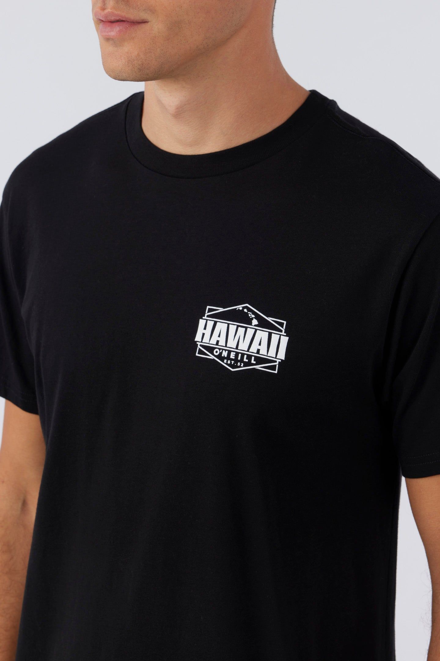 HAWAII FLAG TEE sold by O'Neill product image thumbnail 4