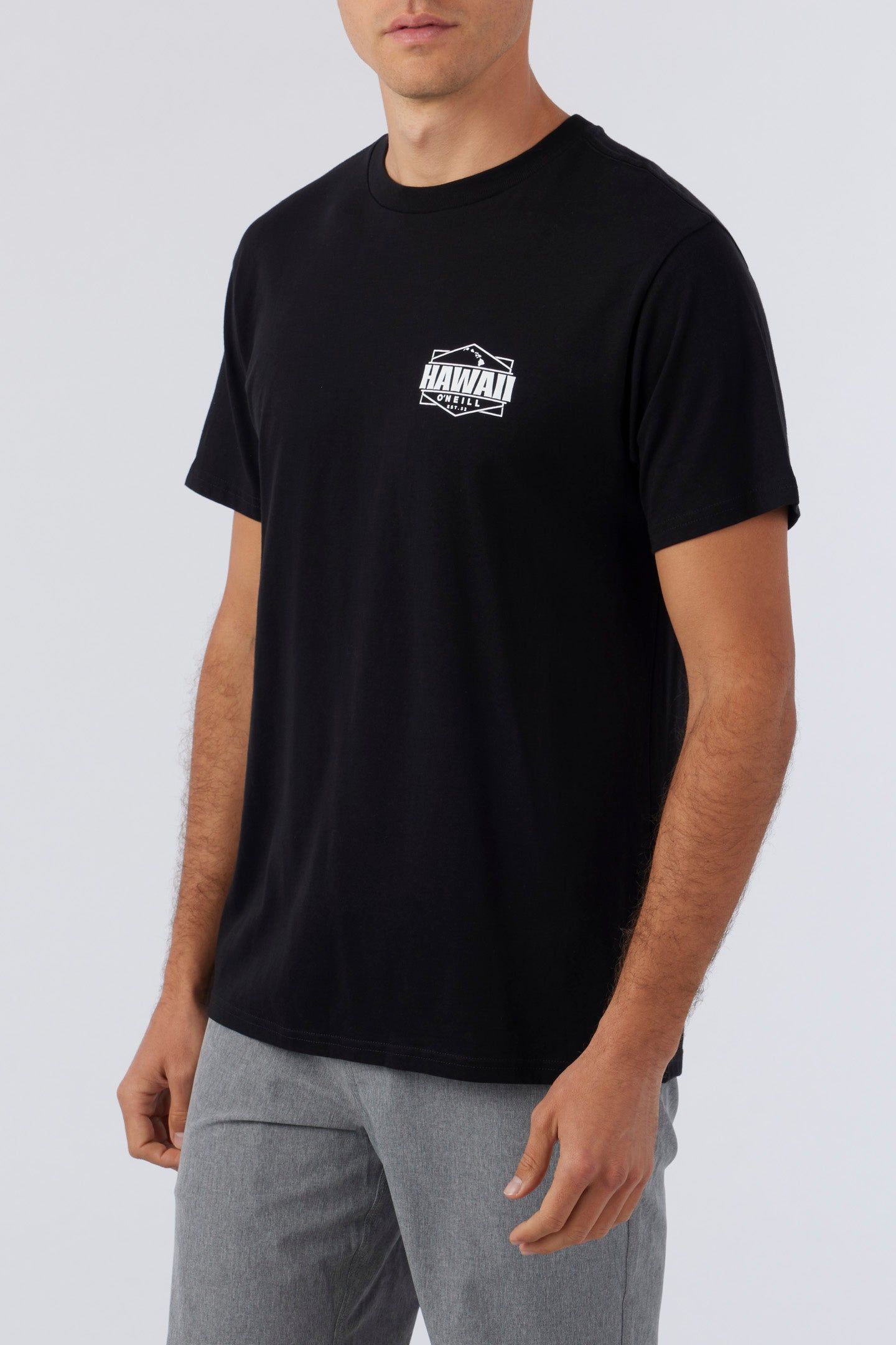 HAWAII FLAG TEE sold by O'Neill product image thumbnail 3