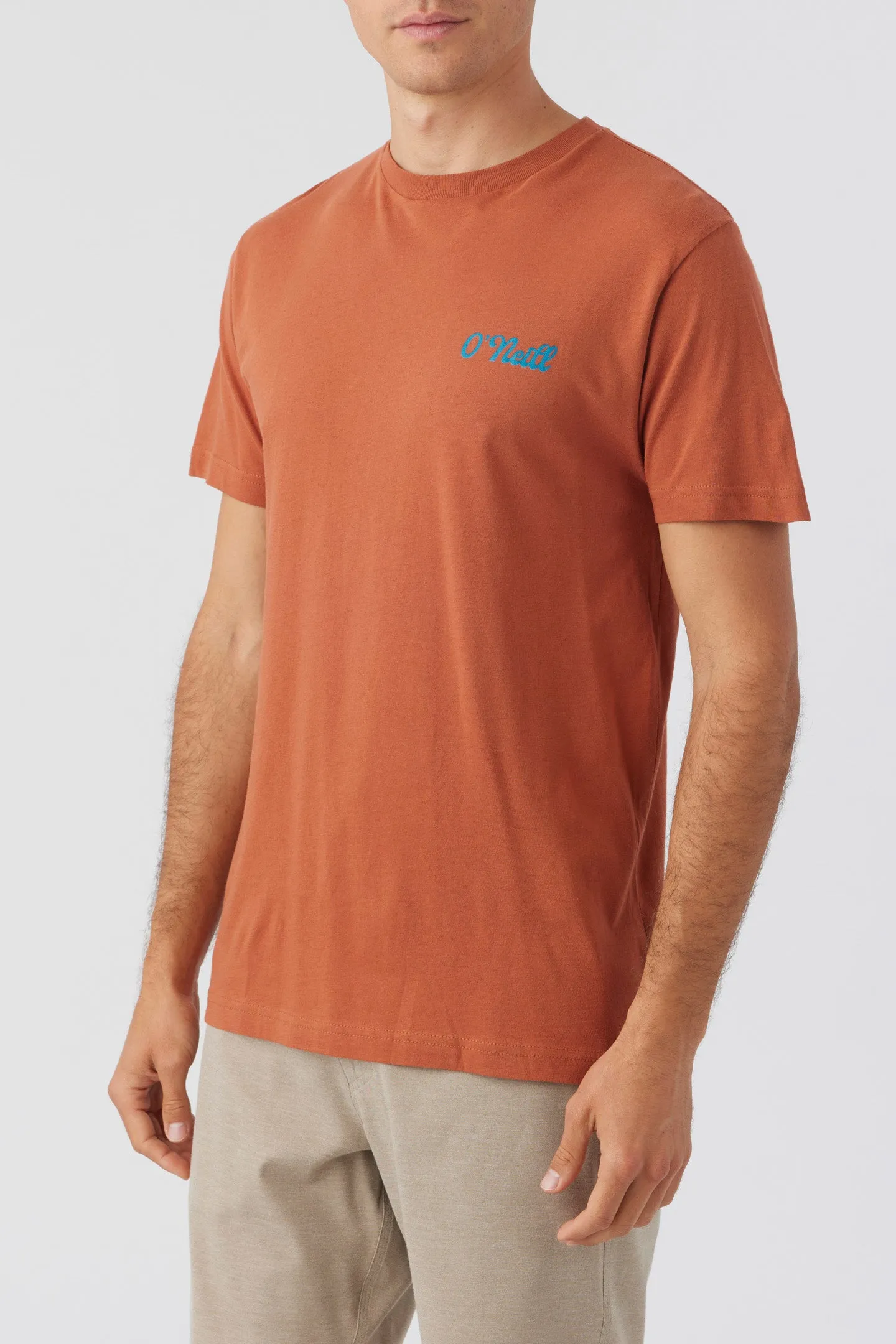 GOLDEN COVE TEE sold by O'Neill product image thumbnail 4