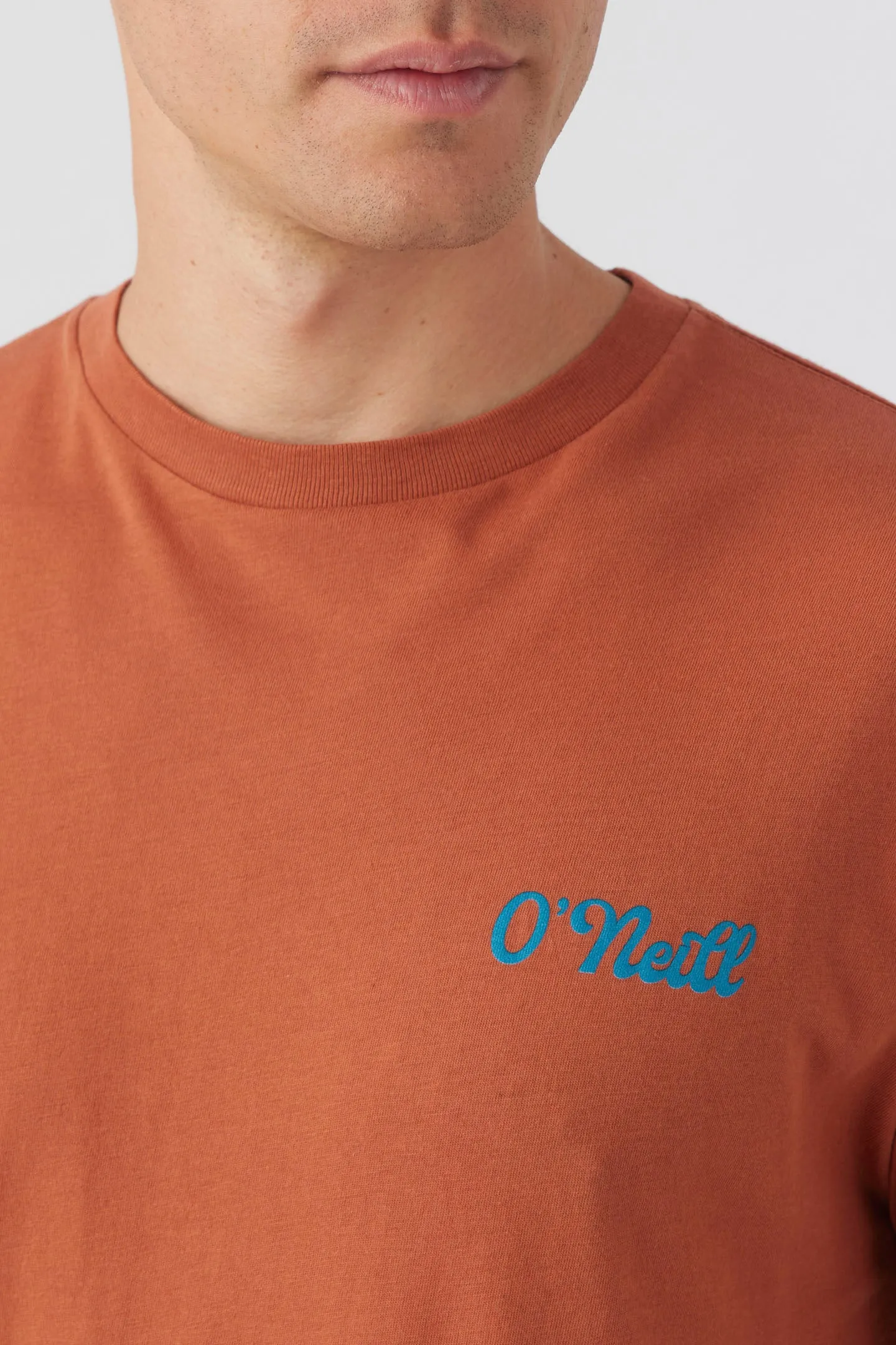 GOLDEN COVE TEE sold by O'Neill product image thumbnail 3