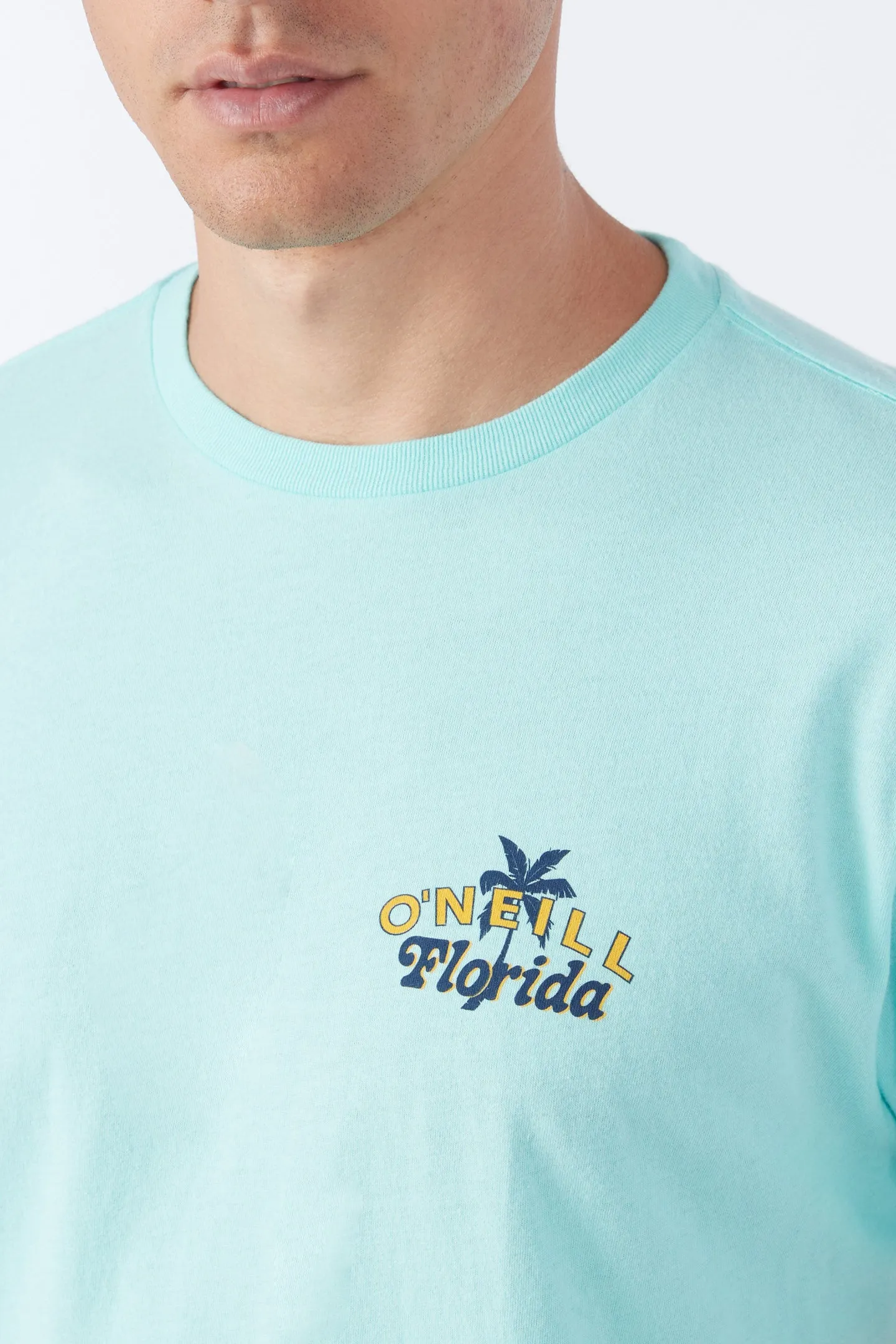 TWIN PALMS TEE sold by O'Neill product image thumbnail 3