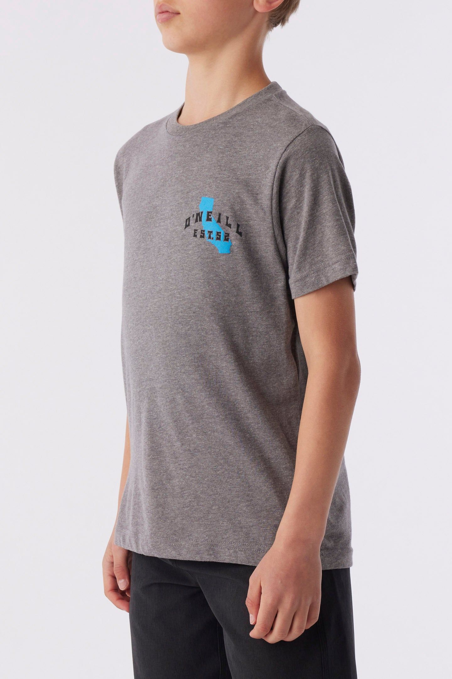 BOY'S CALI BEACH BREAK TEE sold by O'Neill product image thumbnail 3