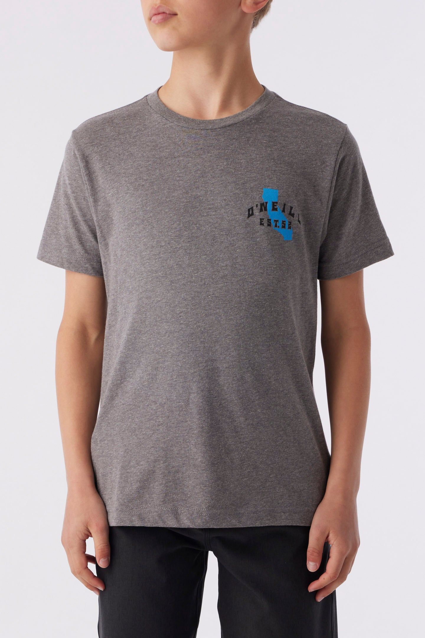 BOY'S CALI BEACH BREAK TEE sold by O'Neill product image thumbnail 2