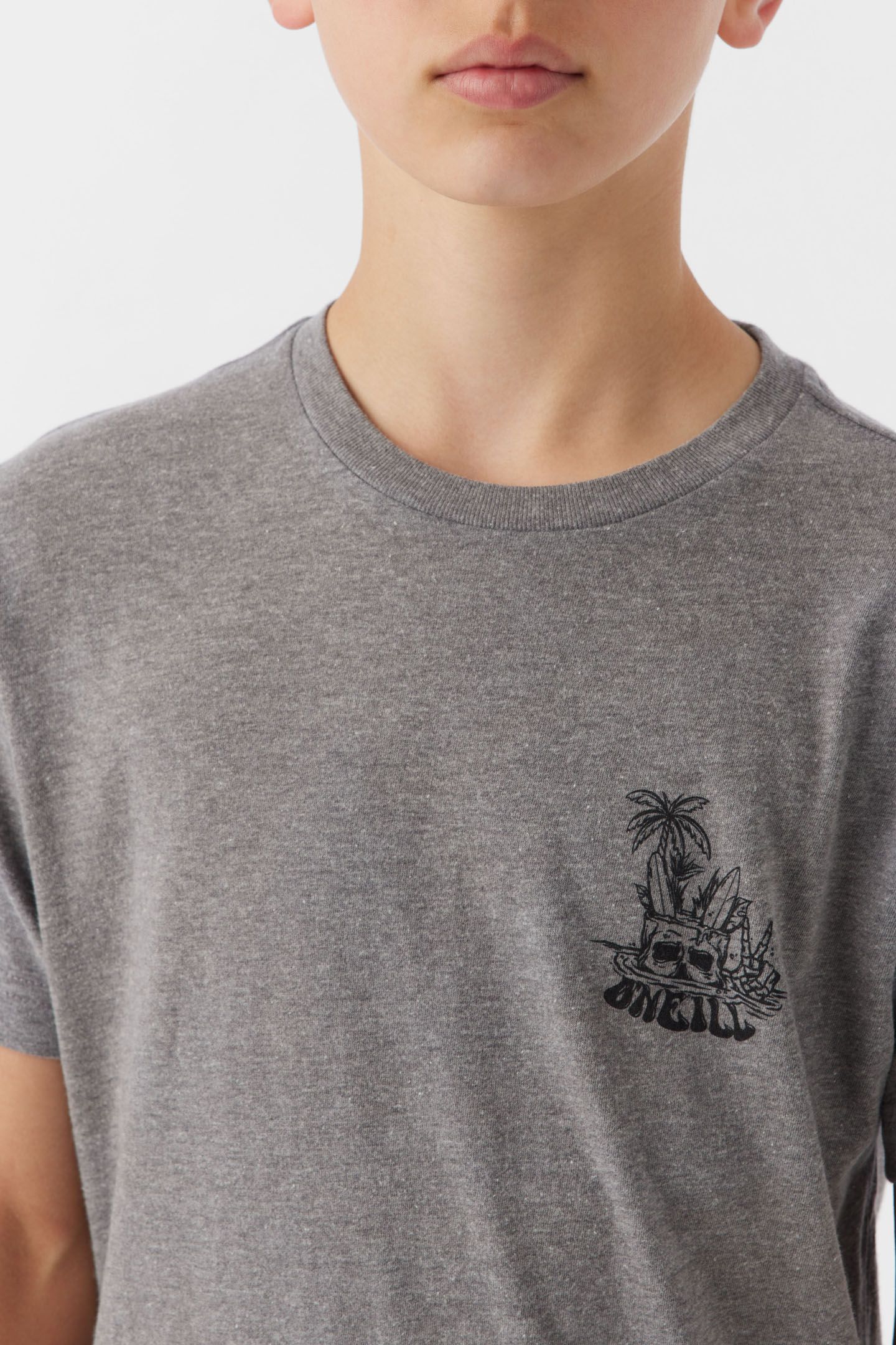 BOY'S BOBBER TEE sold by O'Neill product image thumbnail 3
