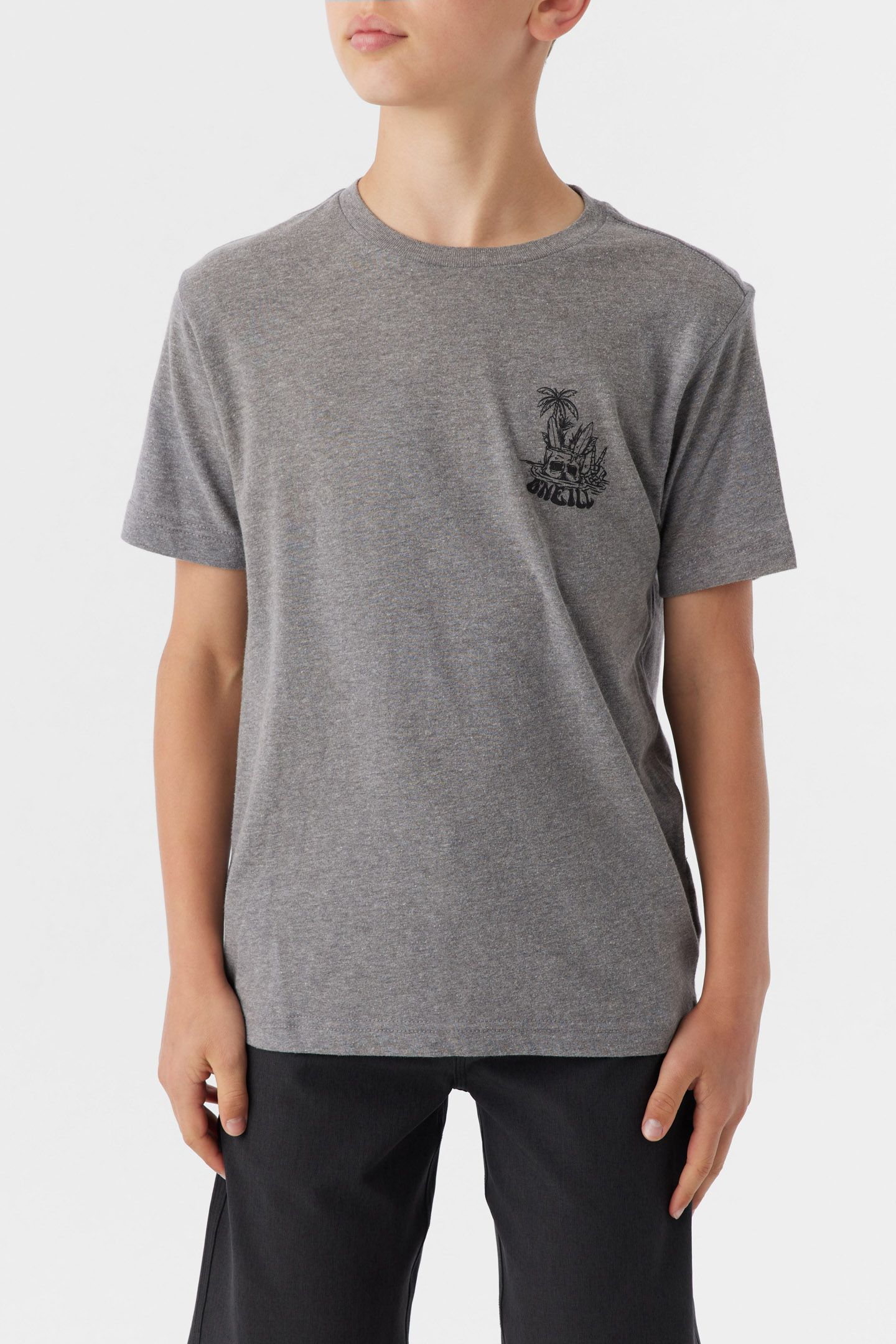 BOY'S BOBBER TEE sold by O'Neill product image thumbnail 2