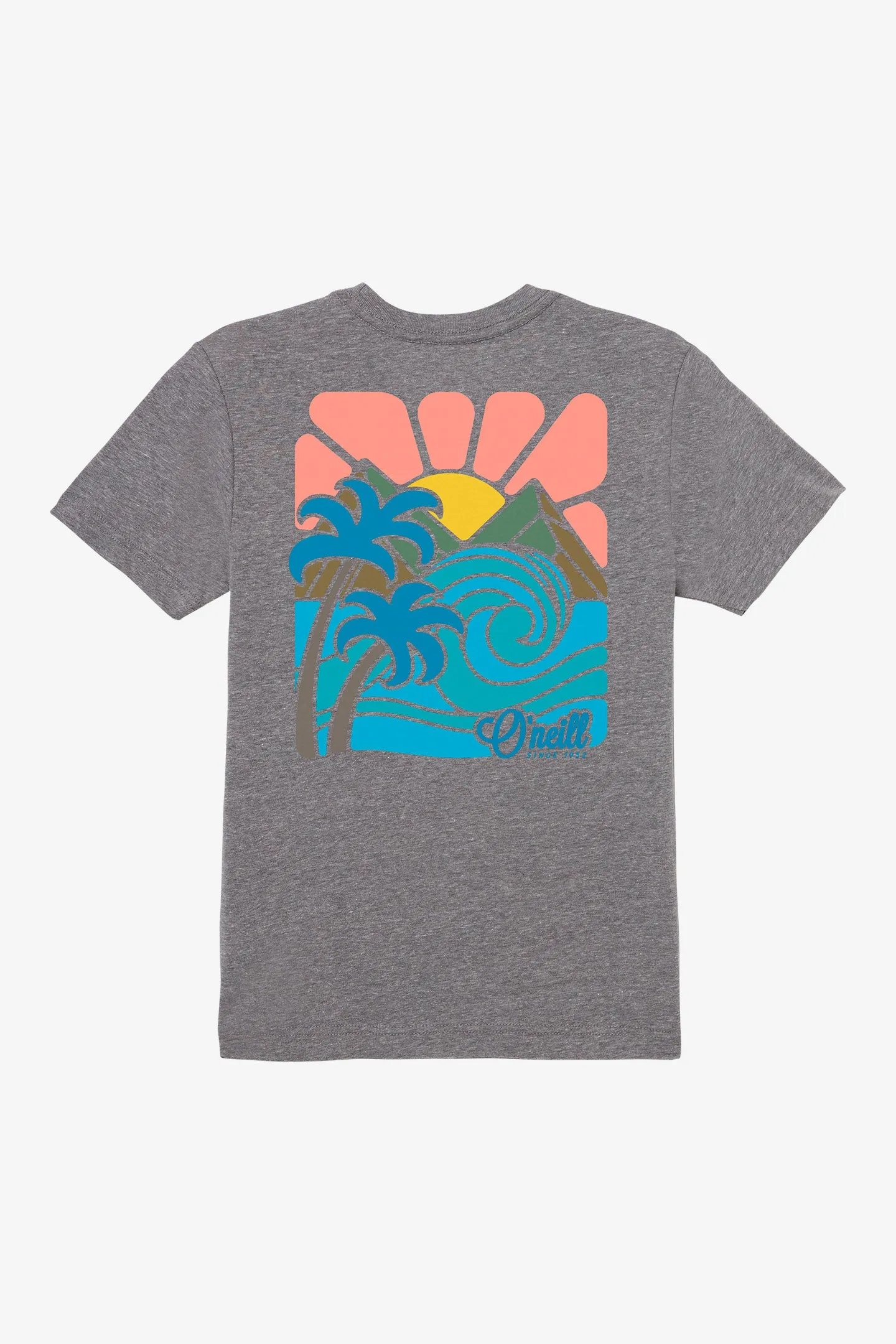 BOY'S PROMISED LAND TEE sold by O'Neill