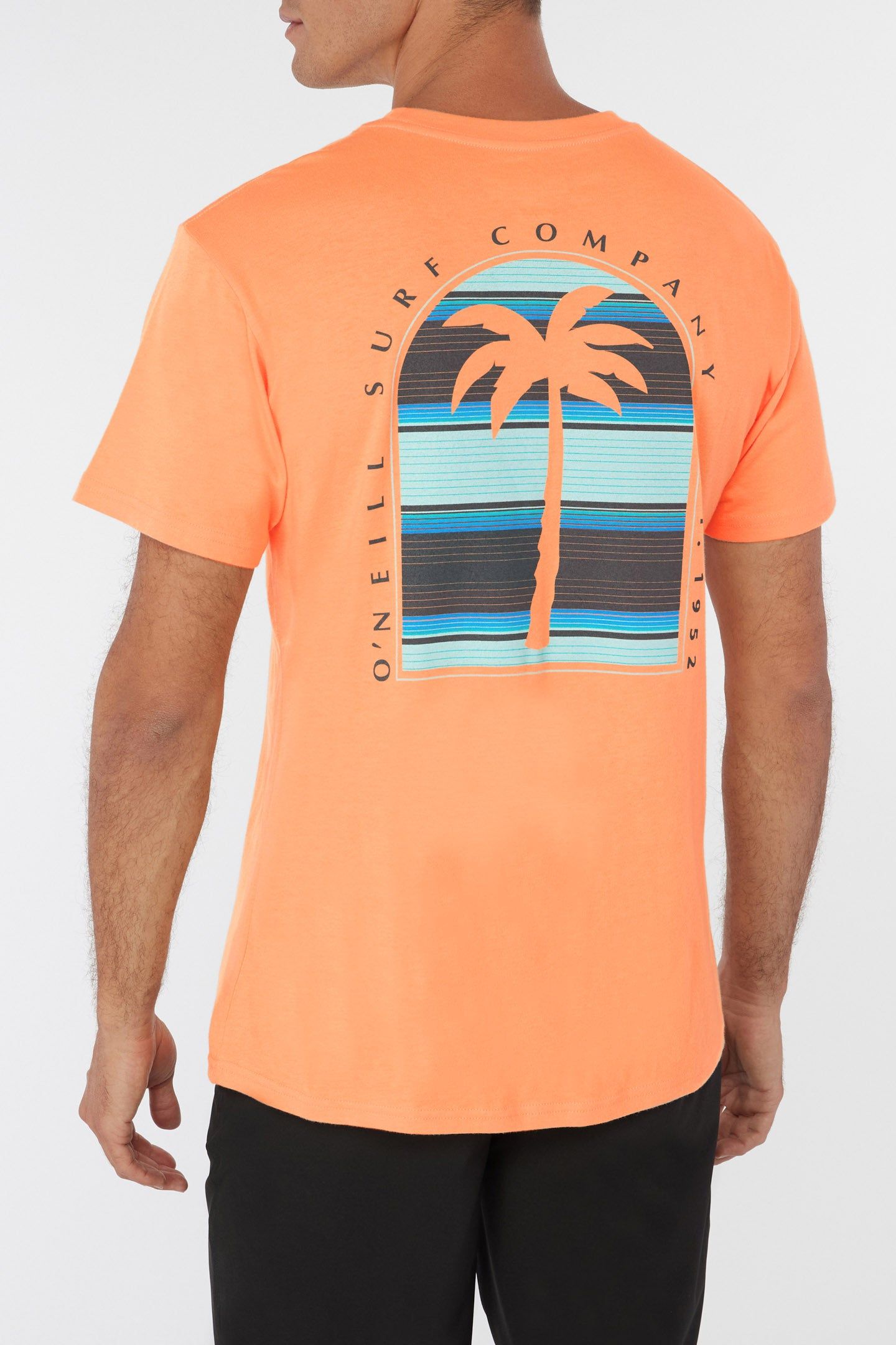 HEADSTONE TEE sold by O'Neill product image thumbnail 2