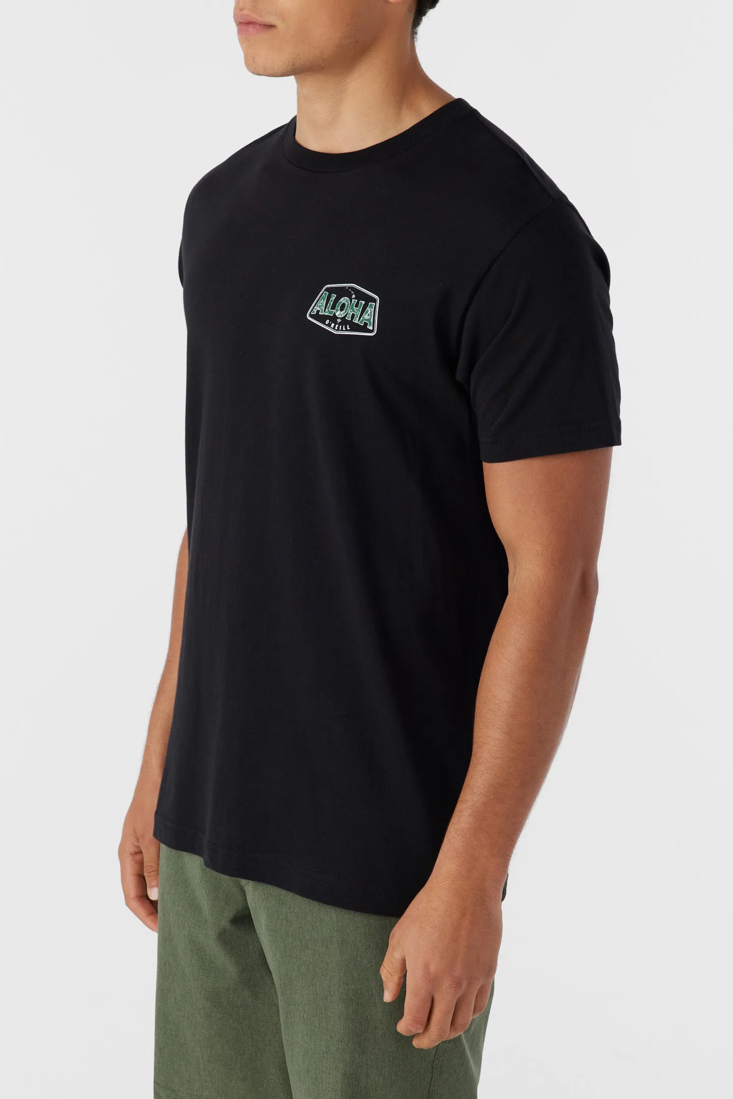 BIG ALOHA TEE sold by O'Neill product image thumbnail 3