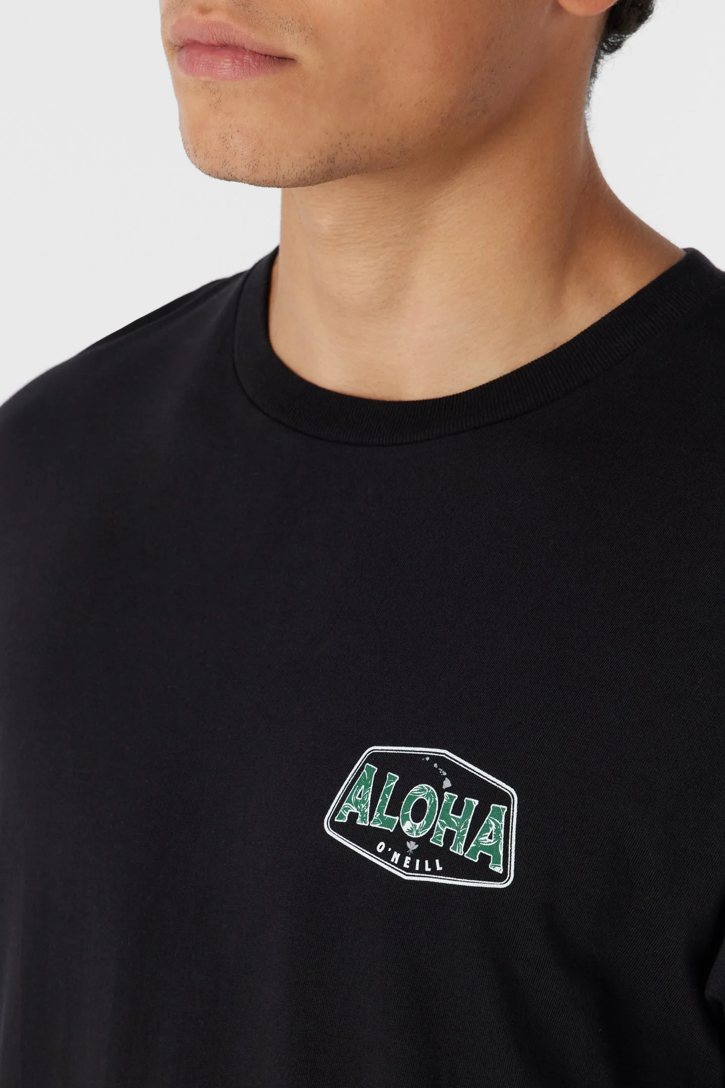 BIG ALOHA TEE sold by O'Neill product image thumbnail 4