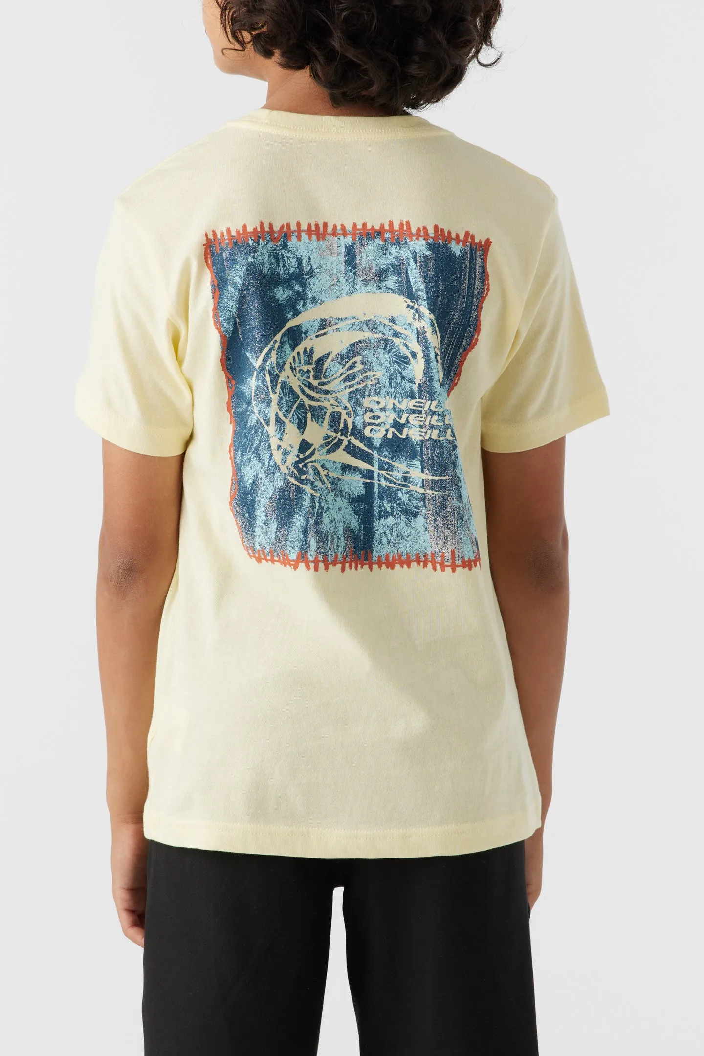 BOY'S EXPOSURE TEE sold by O'Neill product image thumbnail 5