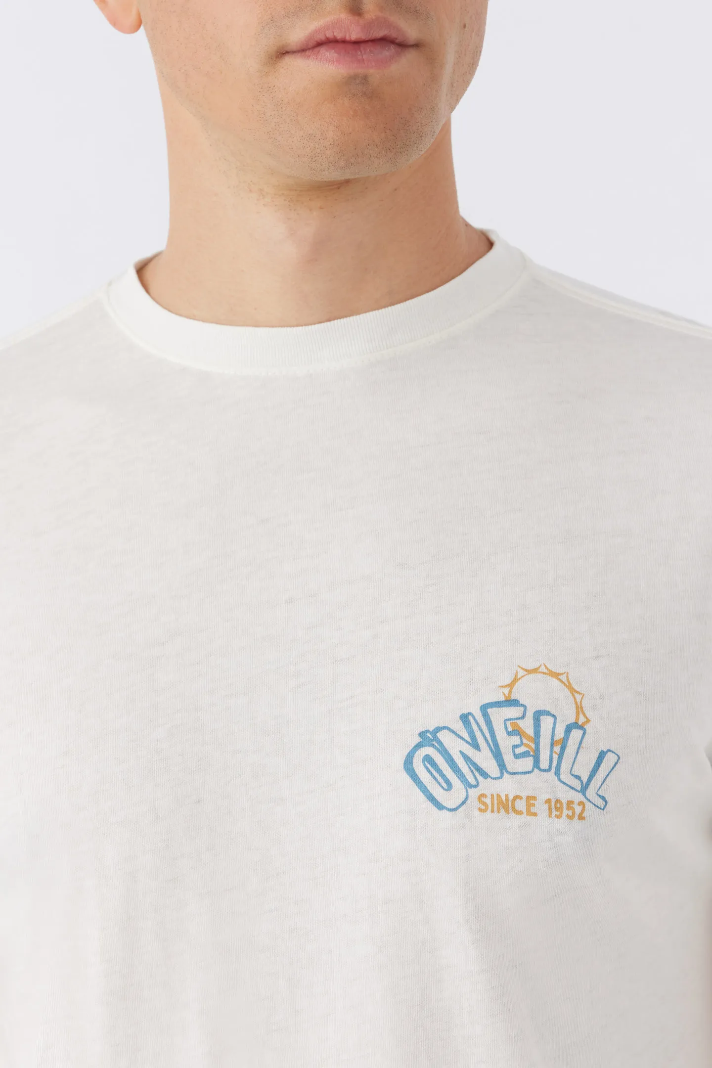 SURF TURKEY TEE sold by O'Neill product image thumbnail 3