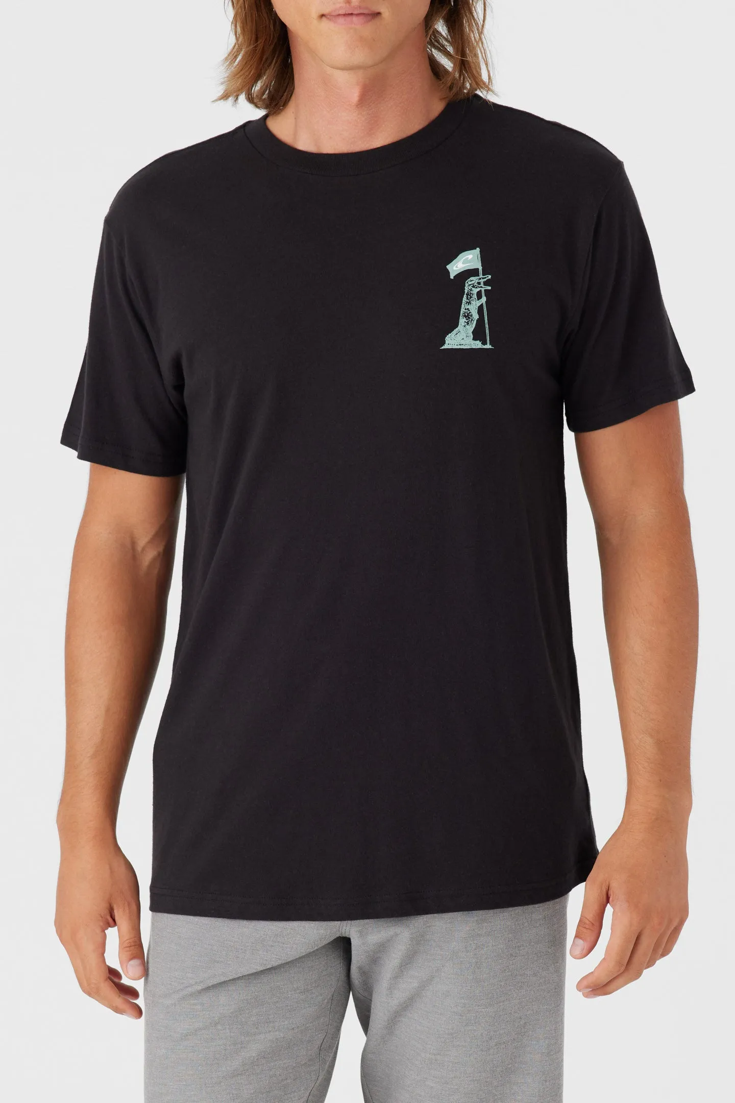 FLORIDA FLAGBEARER TEE sold by O'Neill product image thumbnail 2