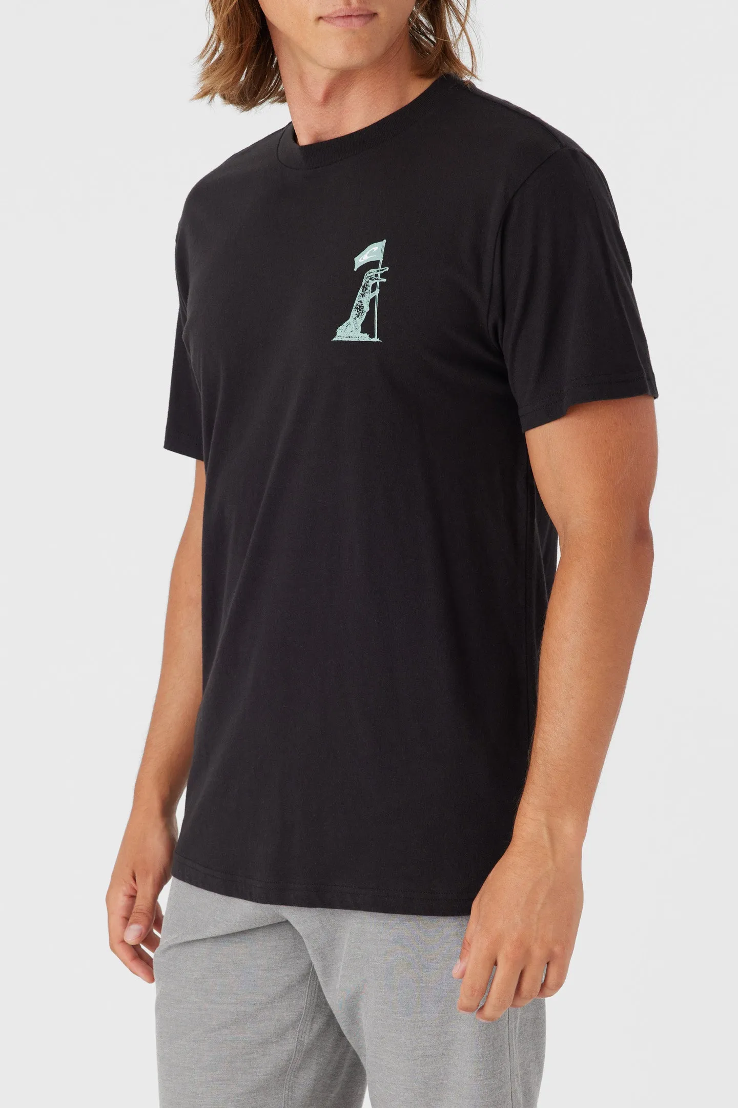 FLORIDA FLAGBEARER TEE sold by O'Neill product image thumbnail 3