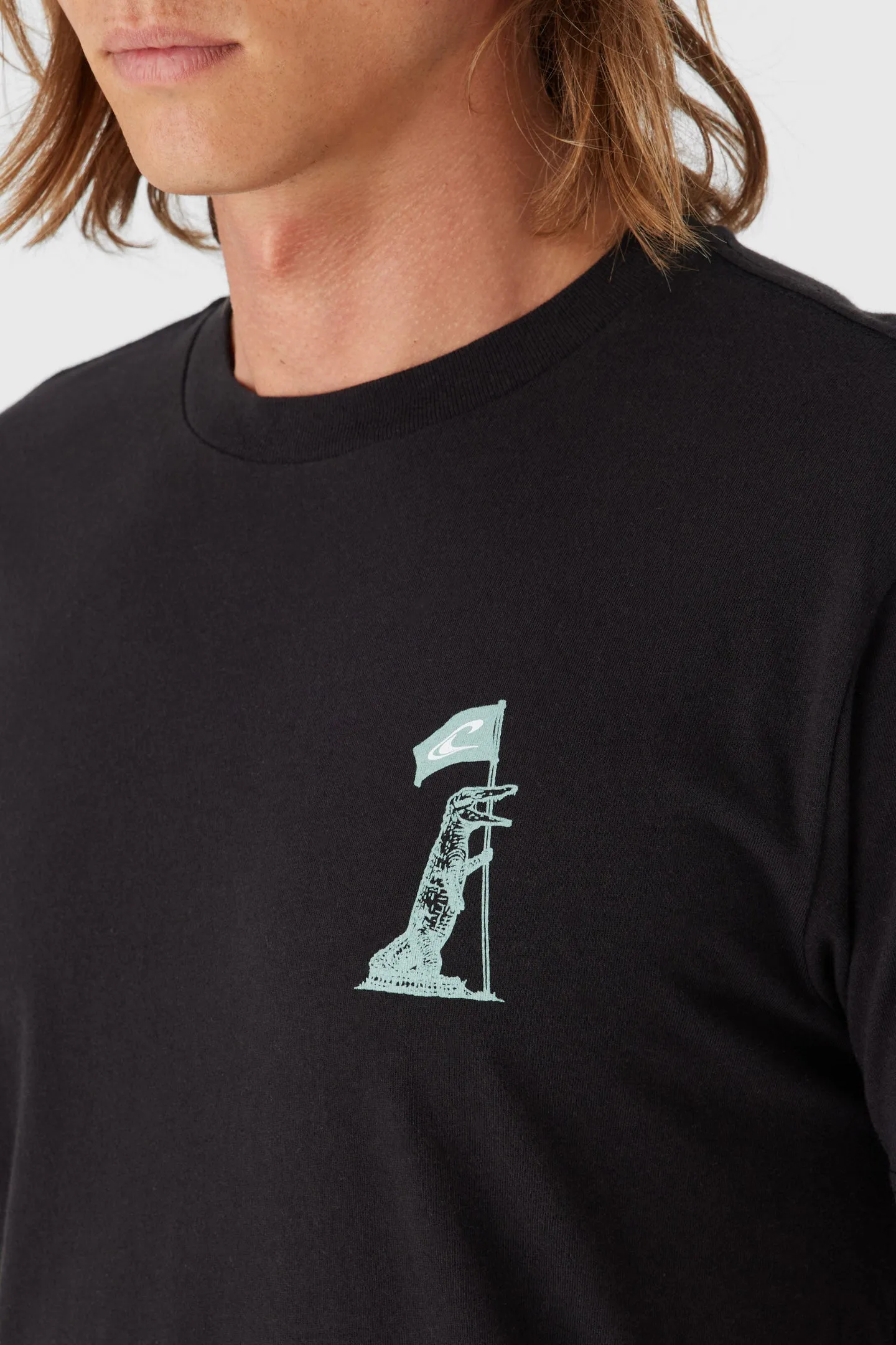 FLORIDA FLAGBEARER TEE sold by O'Neill product image thumbnail 4