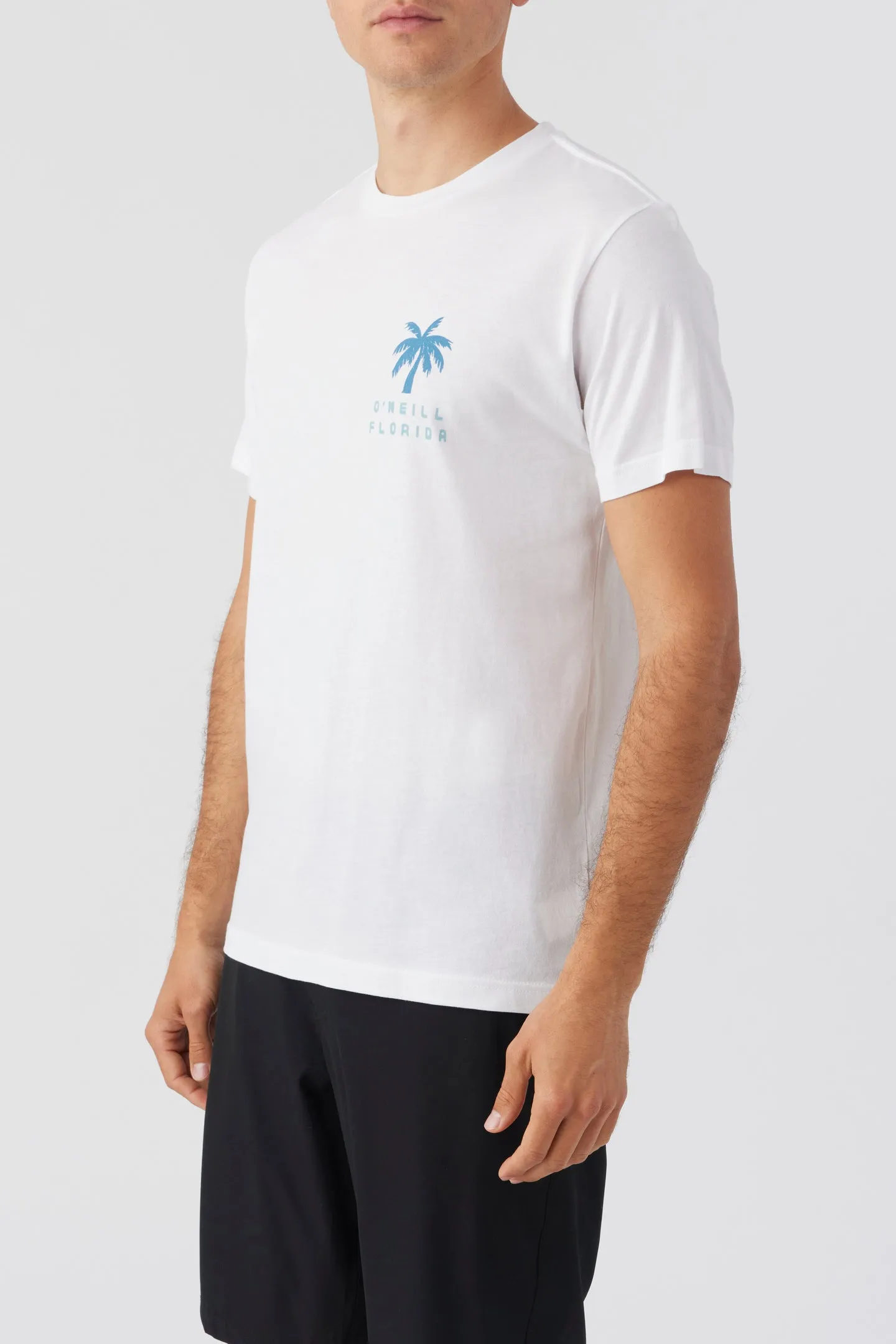 BIGMOUTH TEE sold by O'Neill product image thumbnail 4