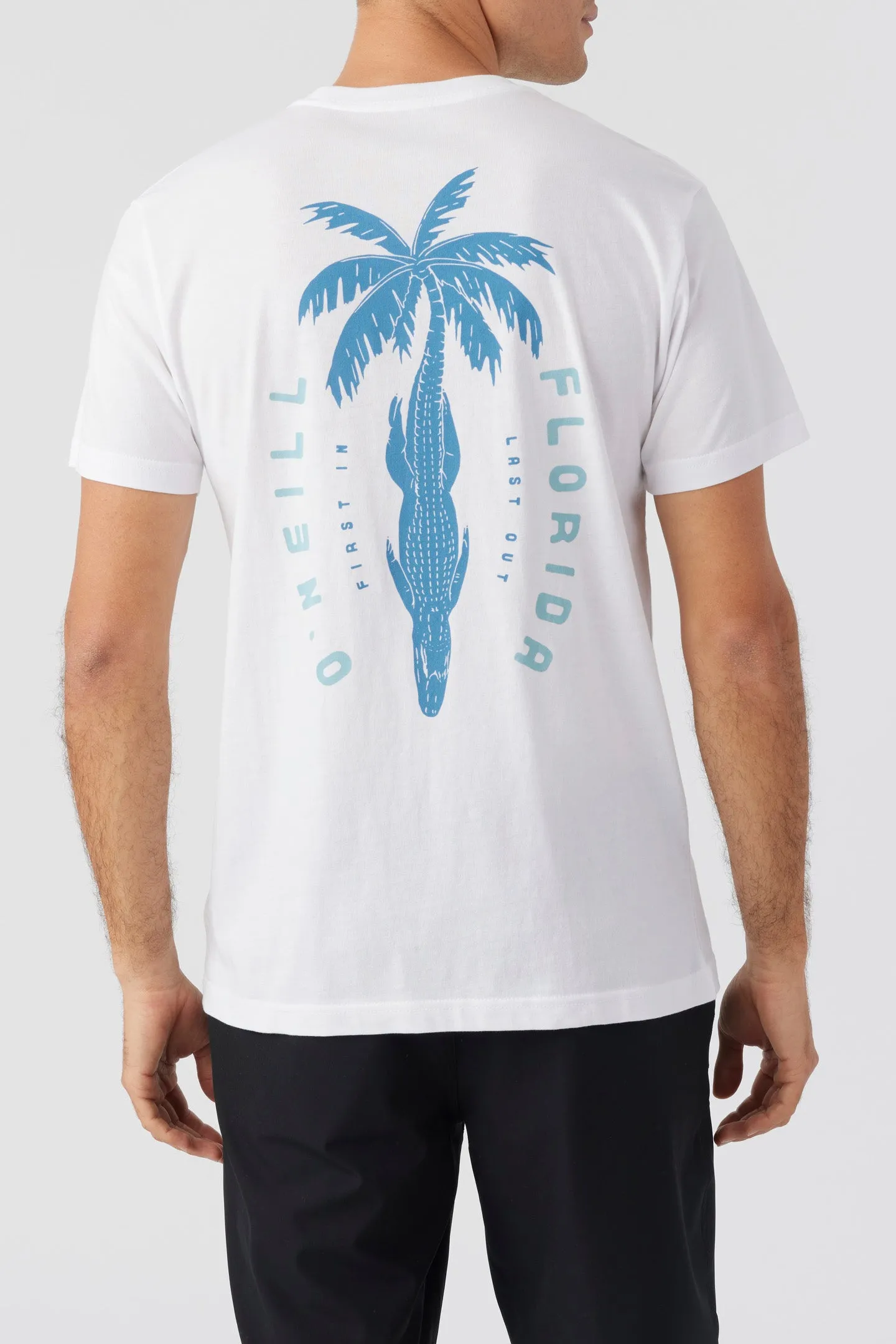 BIGMOUTH TEE sold by O'Neill product image thumbnail 5