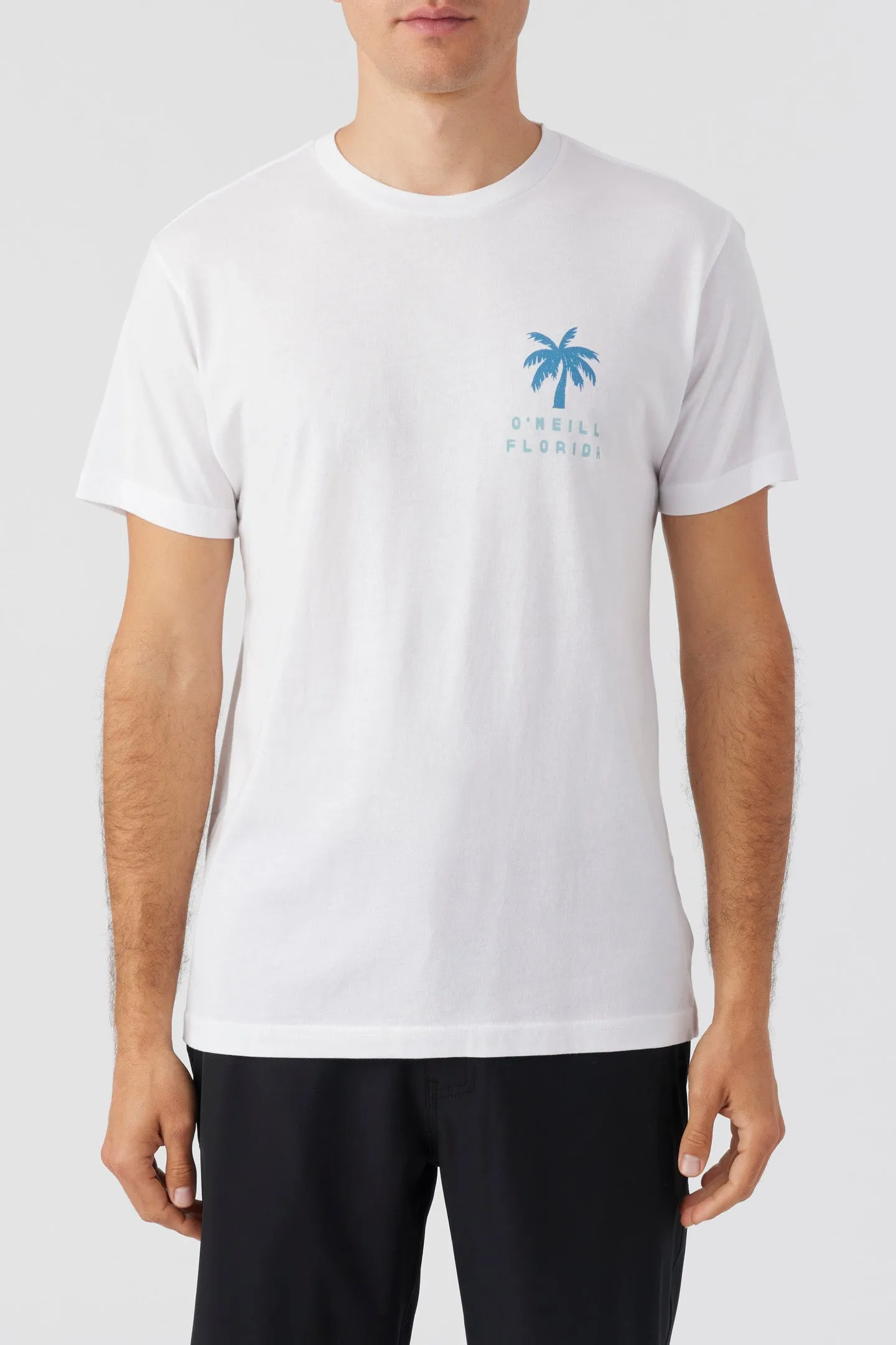 BIGMOUTH TEE sold by O'Neill product image thumbnail 2