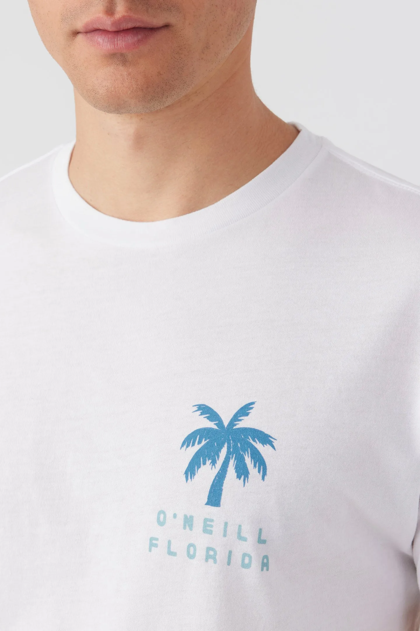 BIGMOUTH TEE sold by O'Neill product image thumbnail 3