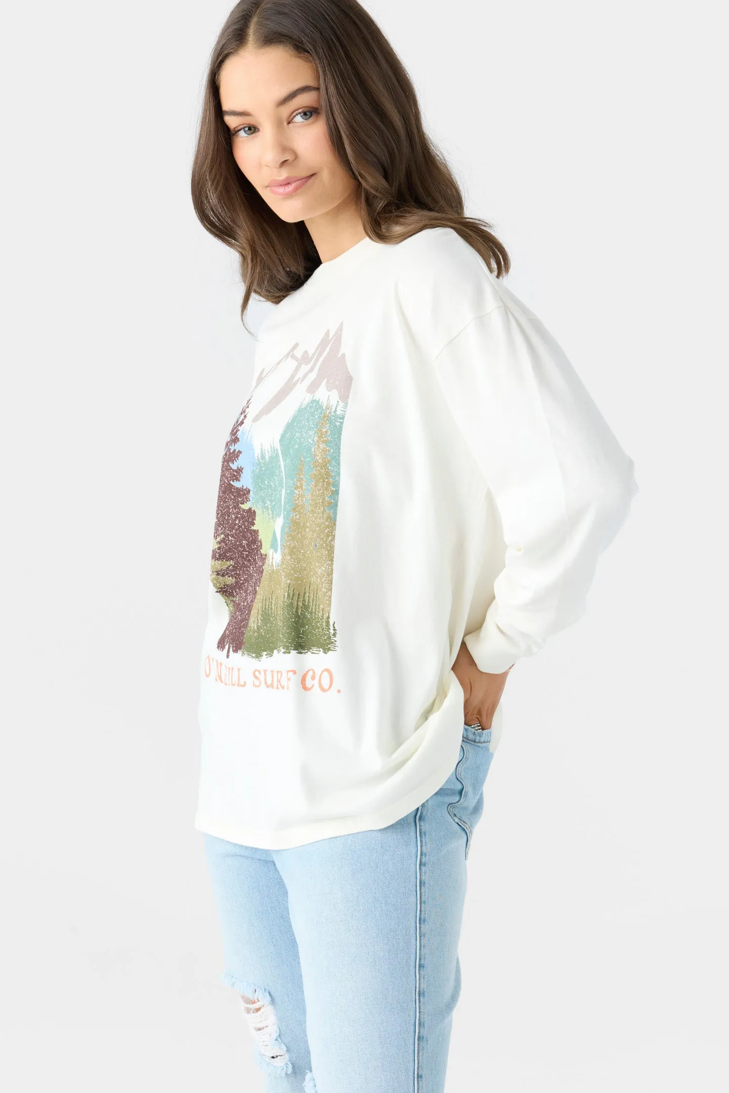 MOUNTAIN RANGE TEE sold by O'Neill product image thumbnail 5