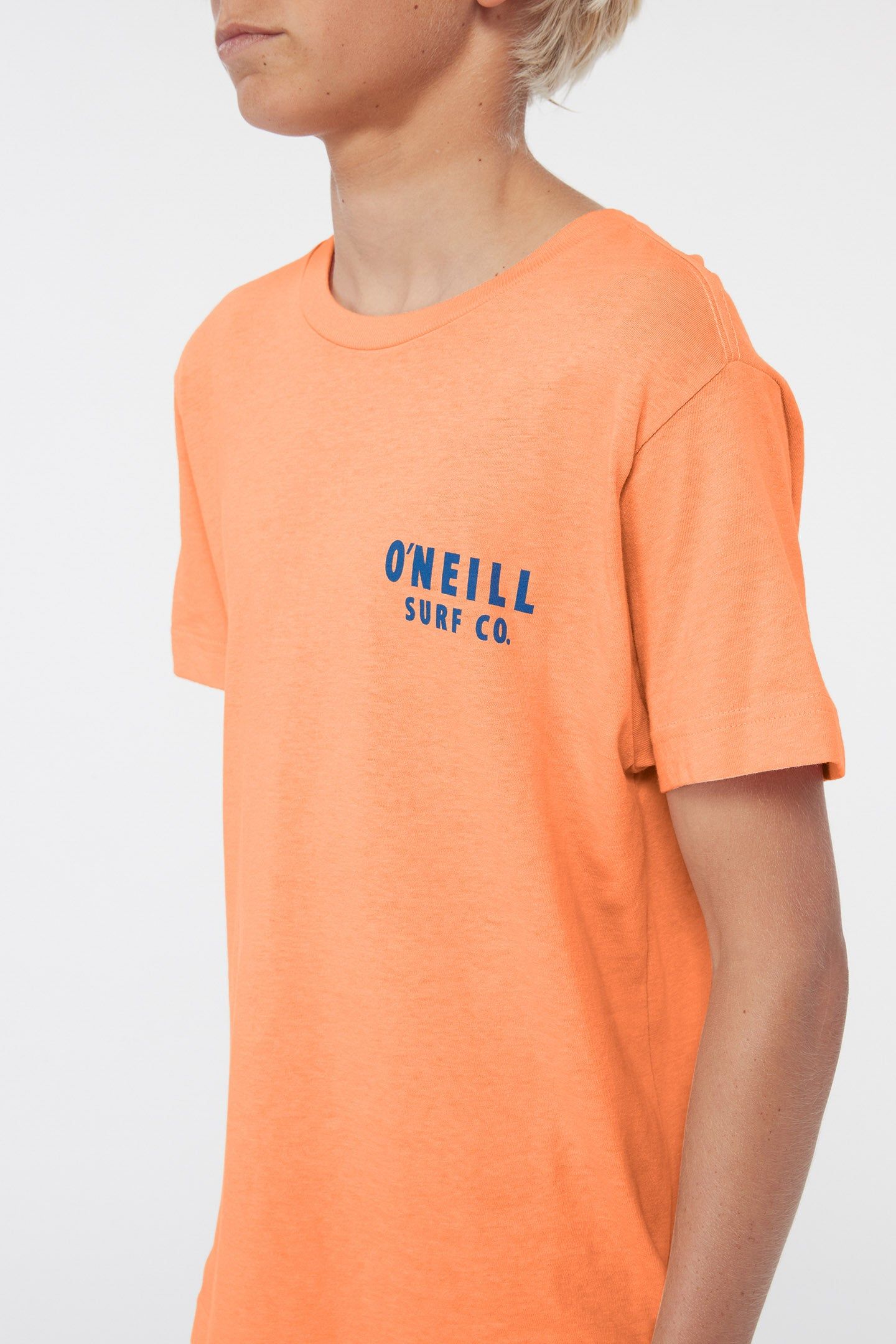BOY'S STAINED GLASS TEE sold by O'Neill product image thumbnail 4