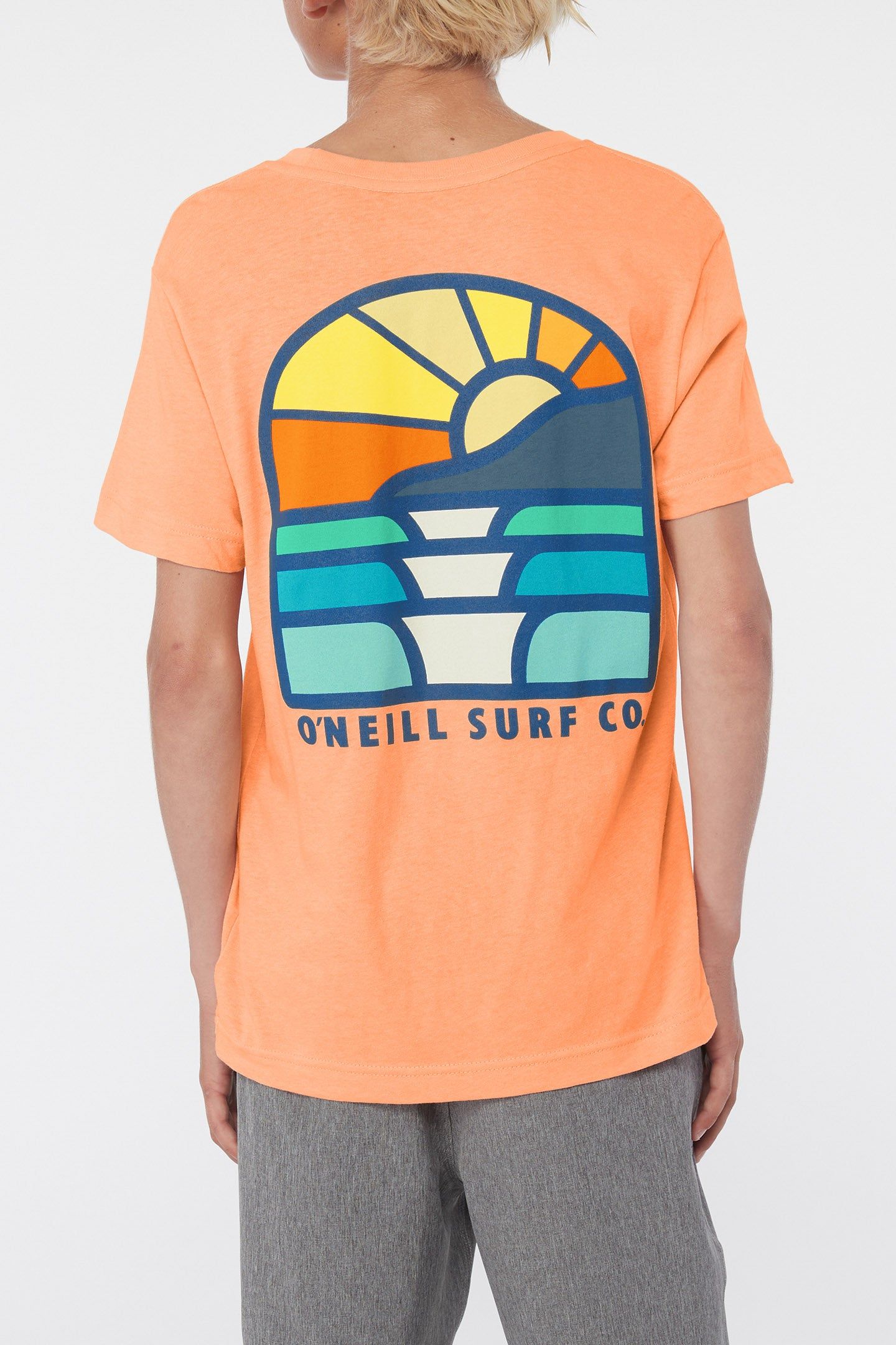 BOY'S STAINED GLASS TEE sold by O'Neill product image thumbnail 2
