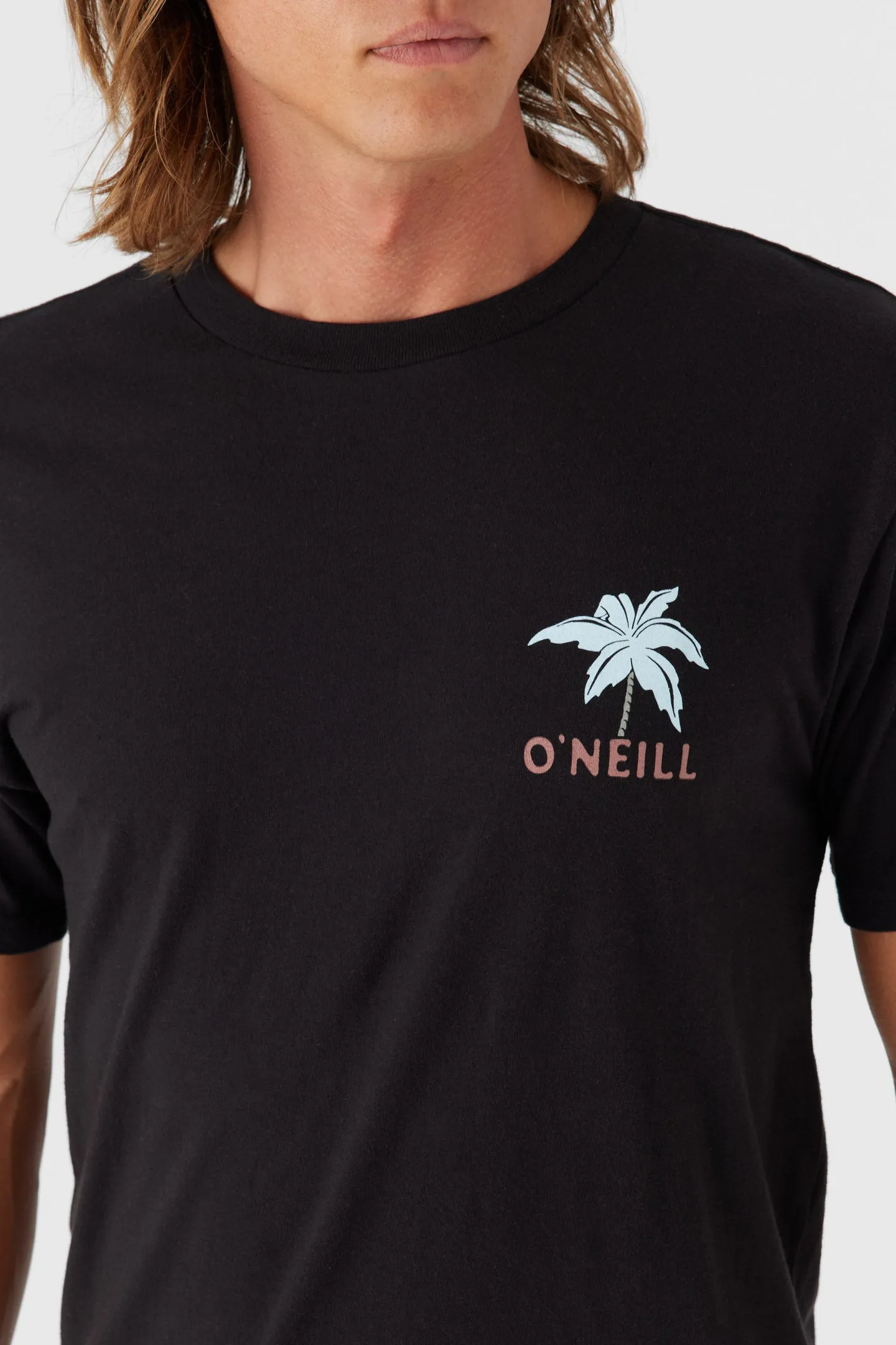 DIAMOND LIFE TEE sold by O'Neill product image thumbnail 3