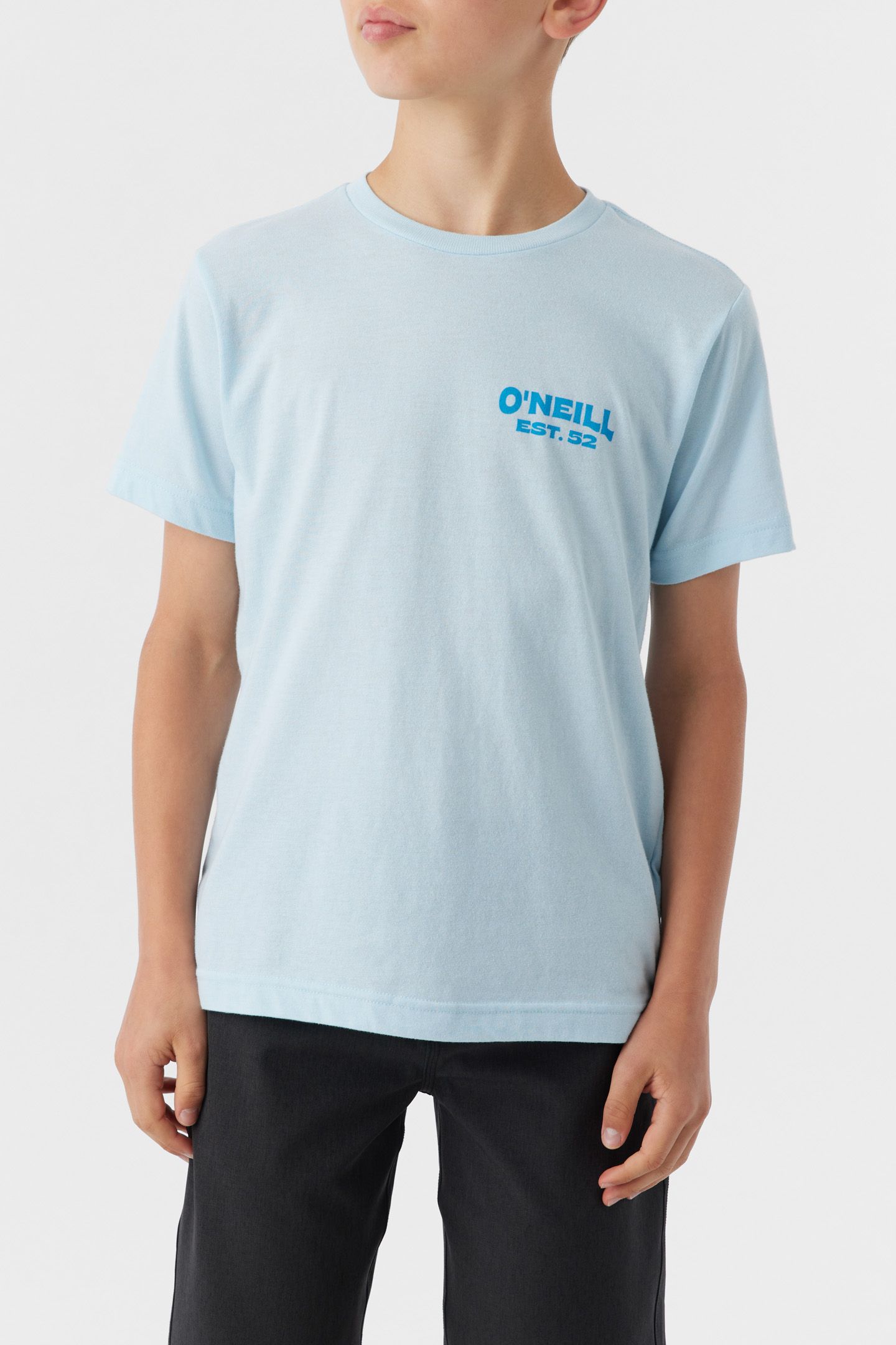 BOY'S BLENDER TEE sold by O'Neill product image thumbnail 2