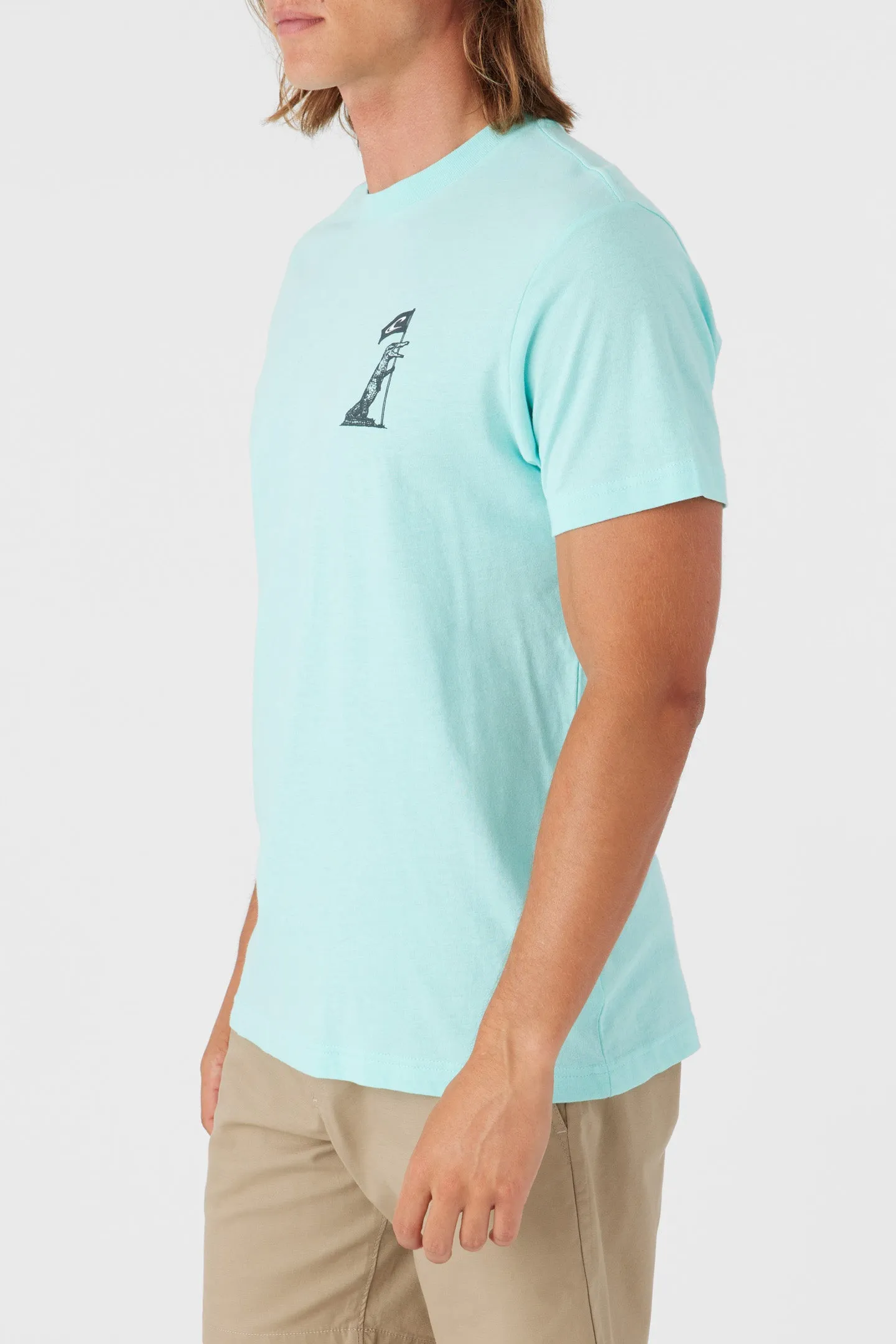 FLORIDA FLAGBEARER TEE sold by O'Neill product image thumbnail 4