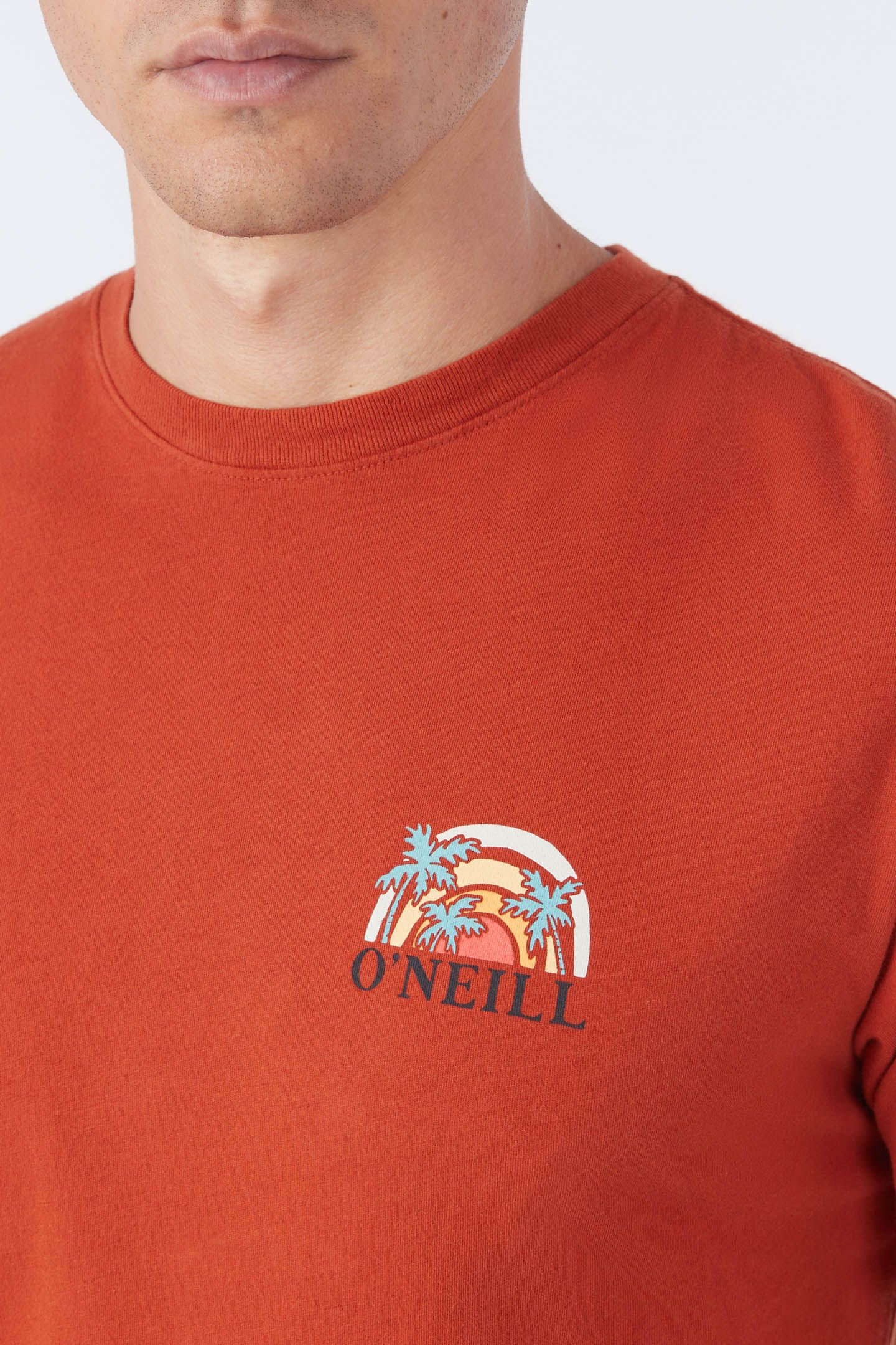 SHAVED ICE TEE sold by O'Neill product image thumbnail 4