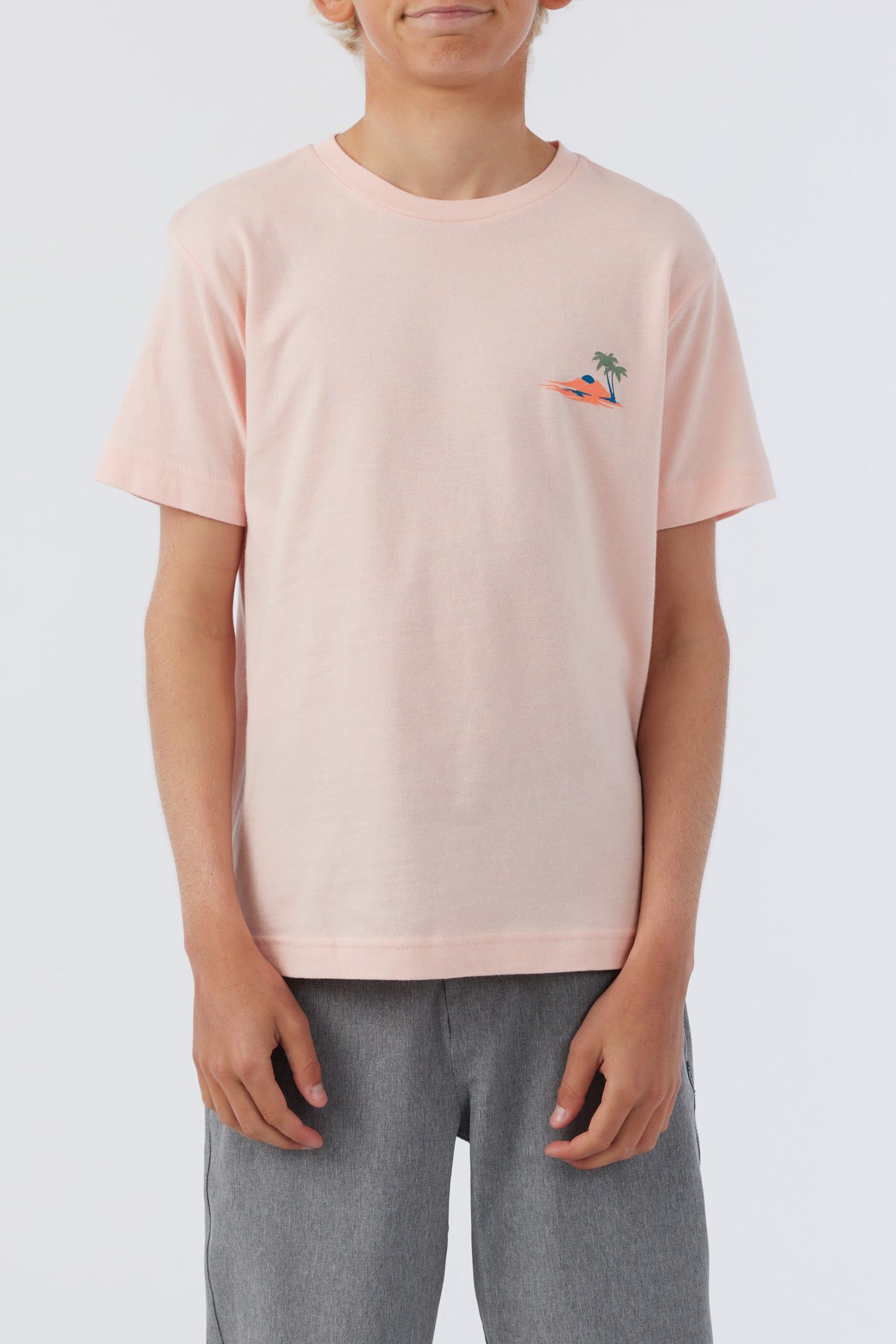 BOY'S LAGGER TEE sold by O'Neill product image thumbnail 2