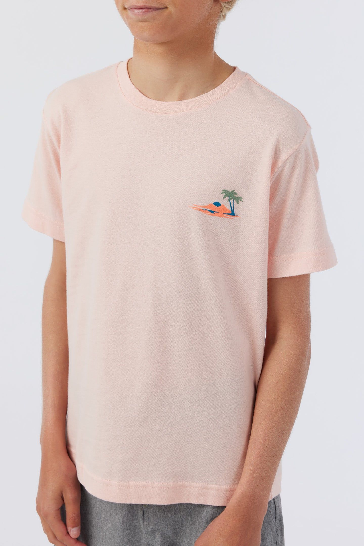 BOY'S LAGGER TEE sold by O'Neill product image thumbnail 3