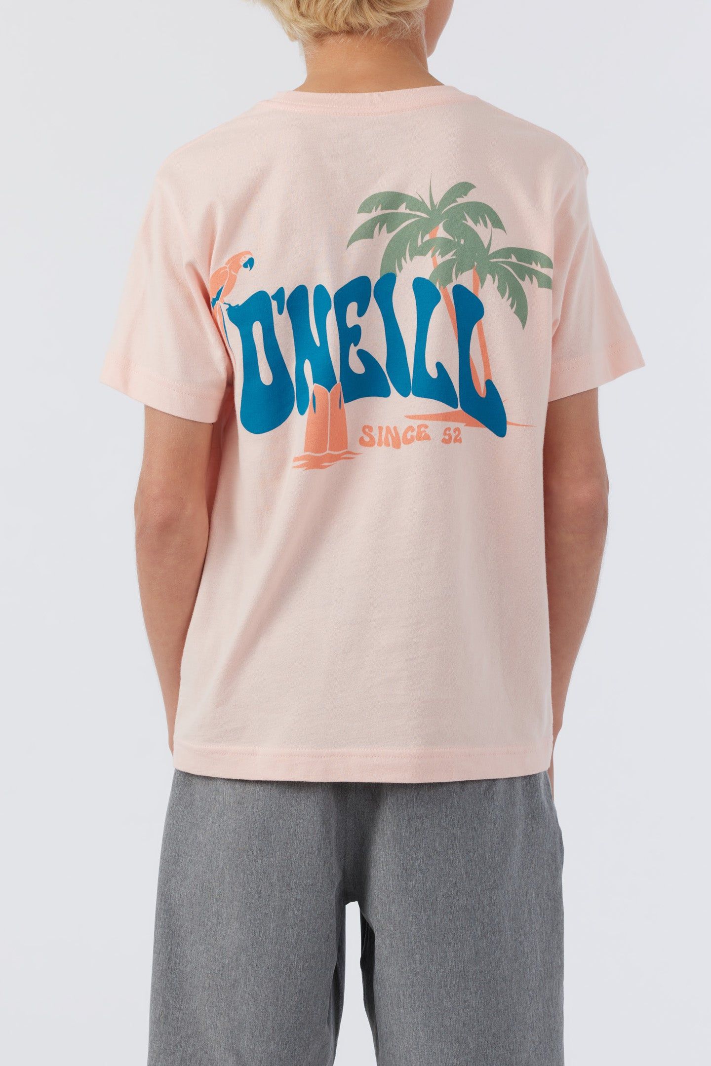 BOY'S LAGGER TEE sold by O'Neill product image thumbnail 4