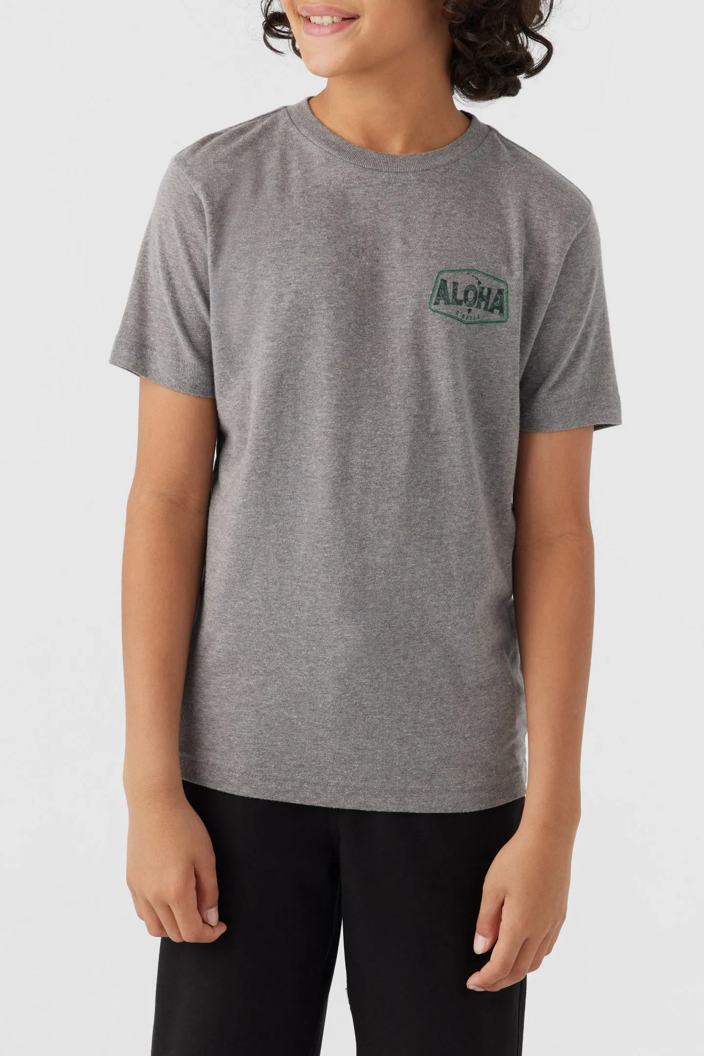 BOY'S BIG ALOHA TEE sold by O'Neill product image thumbnail 2