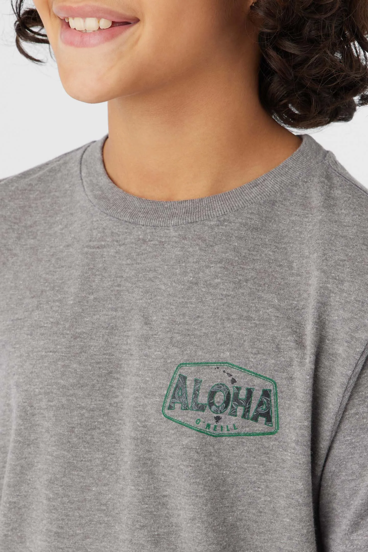 BOY'S BIG ALOHA TEE sold by O'Neill product image thumbnail 4