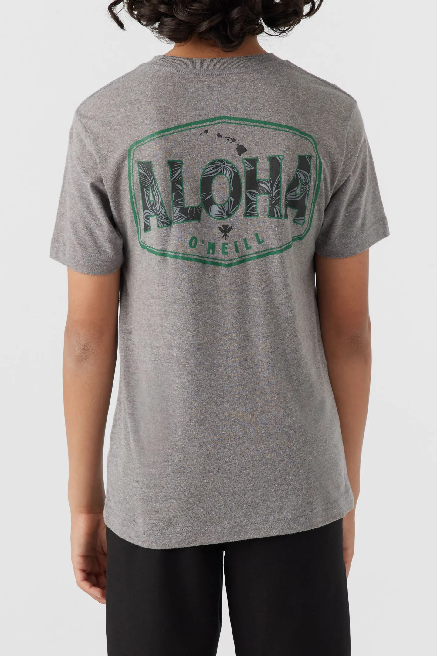BOY'S BIG ALOHA TEE sold by O'Neill product image thumbnail 5