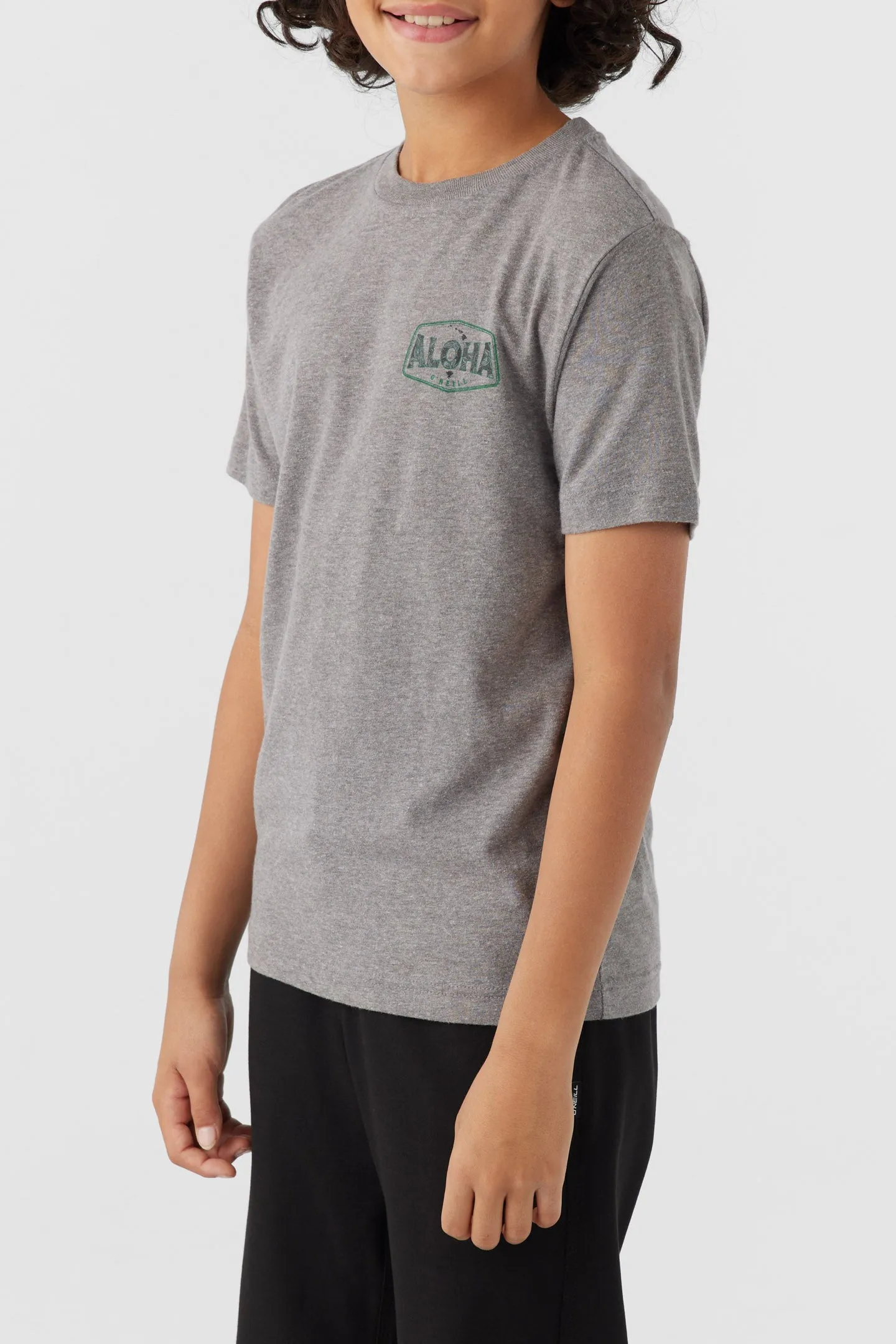 BOY'S BIG ALOHA TEE sold by O'Neill product image thumbnail 3