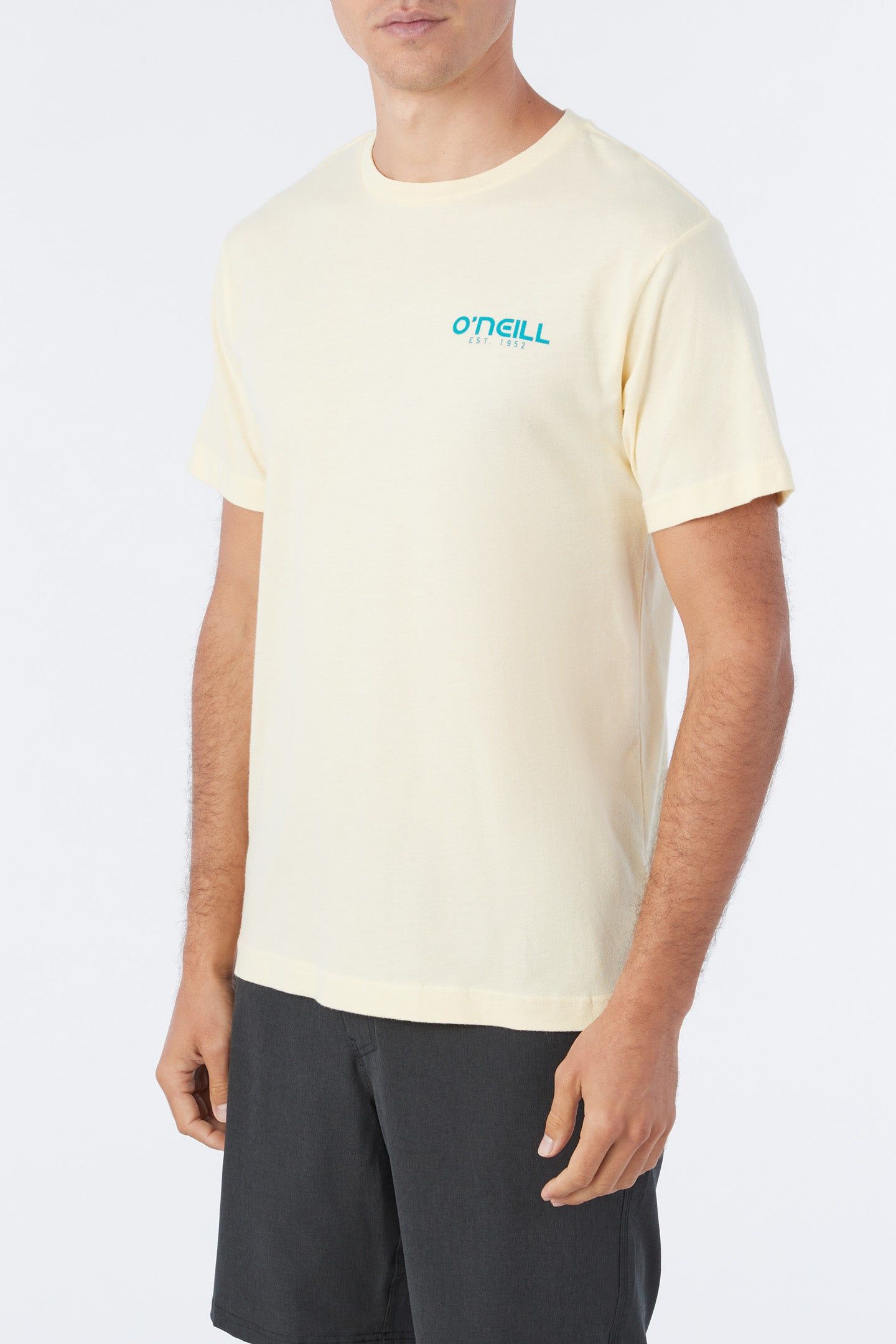 EARLY BIRD TEE sold by O'Neill product image thumbnail 3