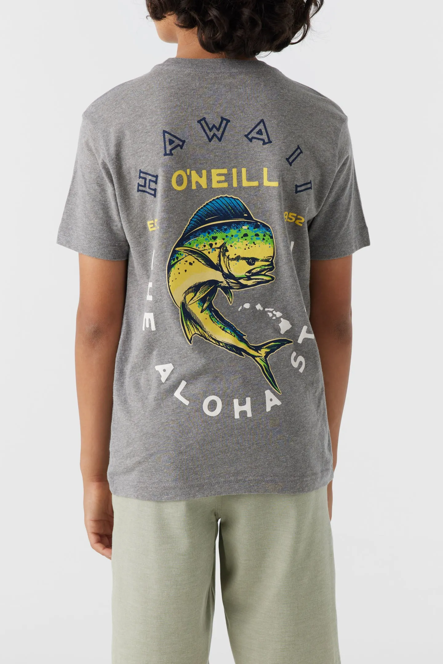 BOY'S HANA PA'A TEE sold by O'Neill product image thumbnail 5