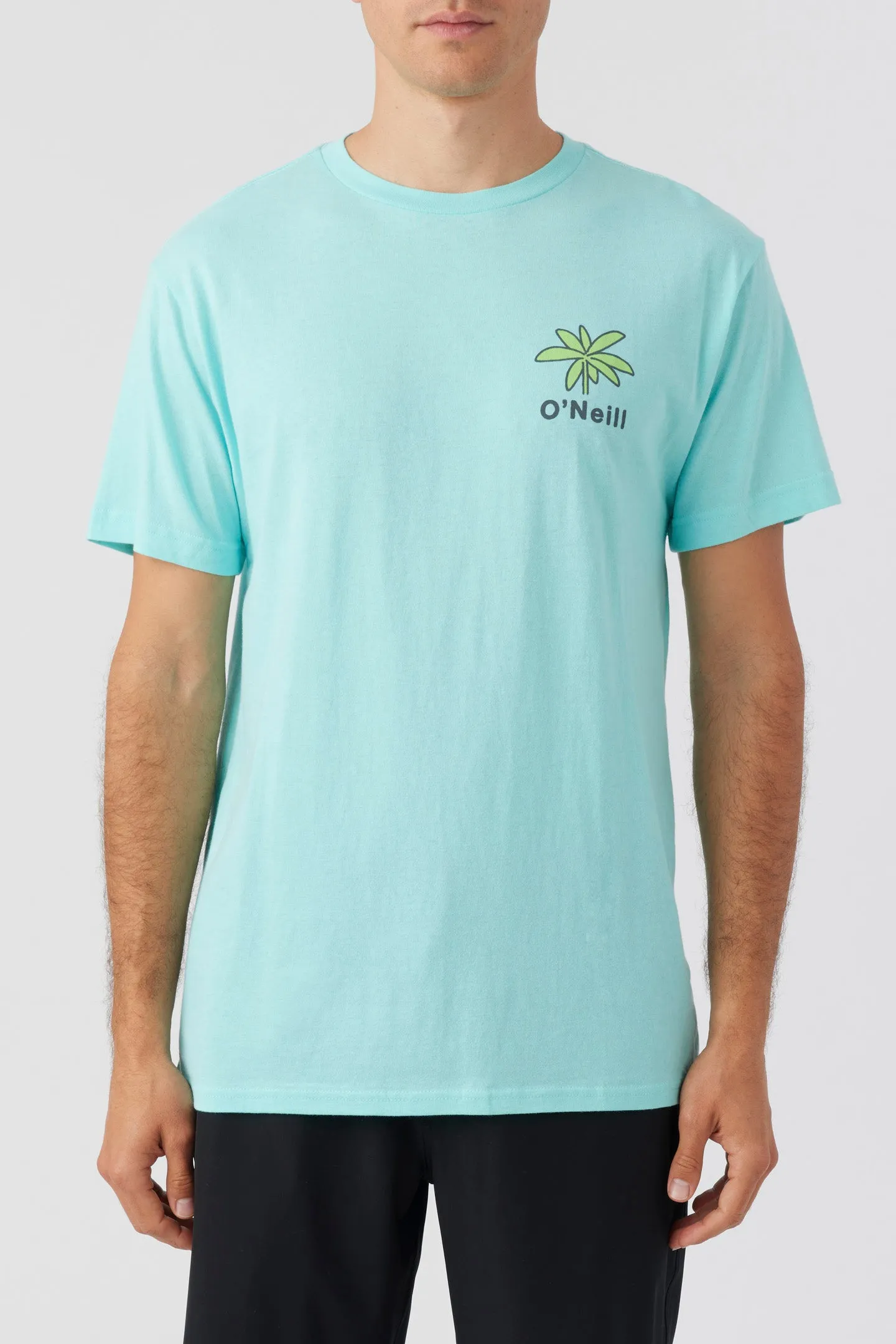 DREAMING TEE sold by O'Neill product image thumbnail 2