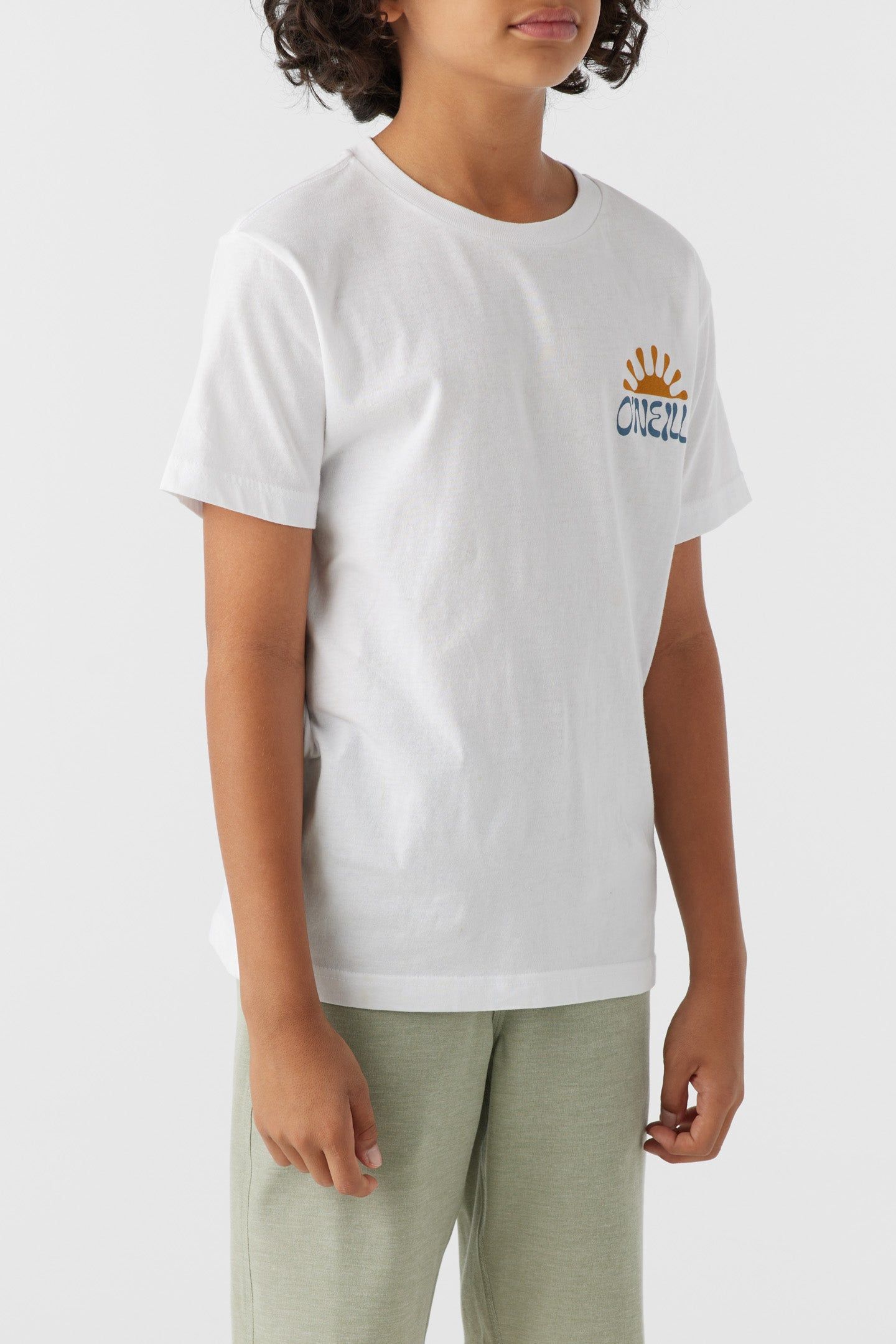 BOY'S HUCKLEBERRY TEE sold by O'Neill product image thumbnail 4