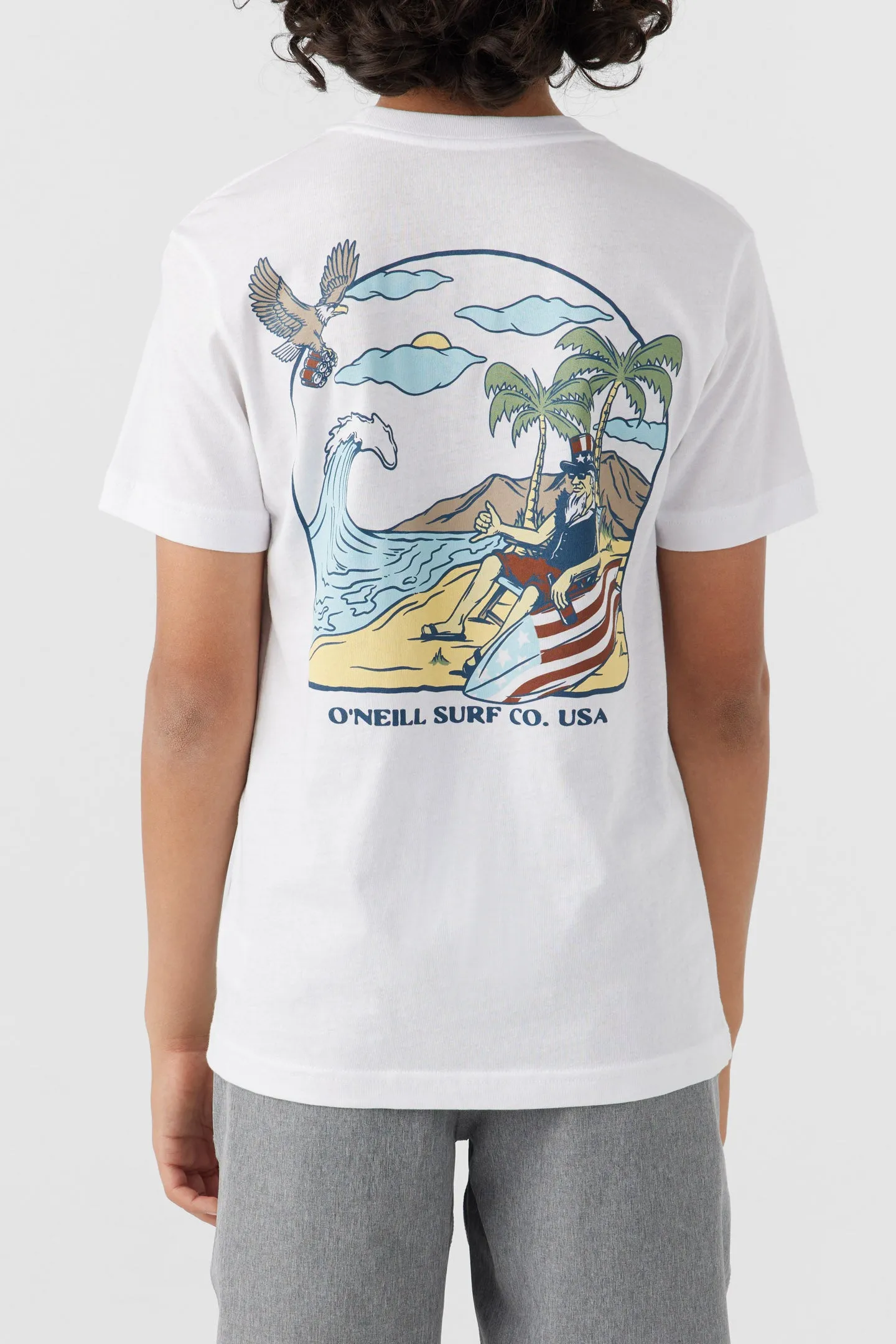 BOY'S INDEPENDENCE TEE sold by O'Neill product image thumbnail 5