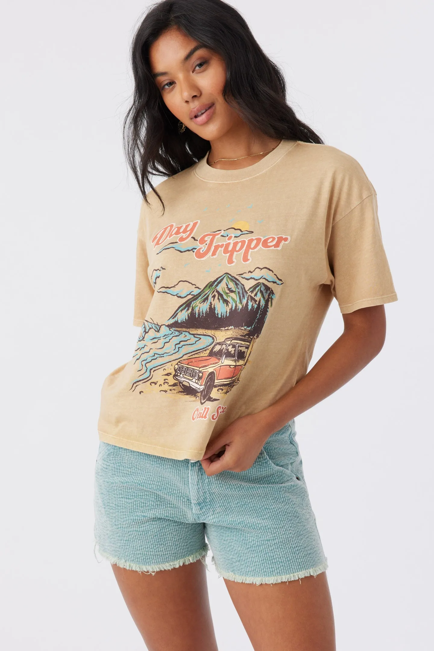 DAY TRIP TEE sold by O'Neill product image thumbnail 5